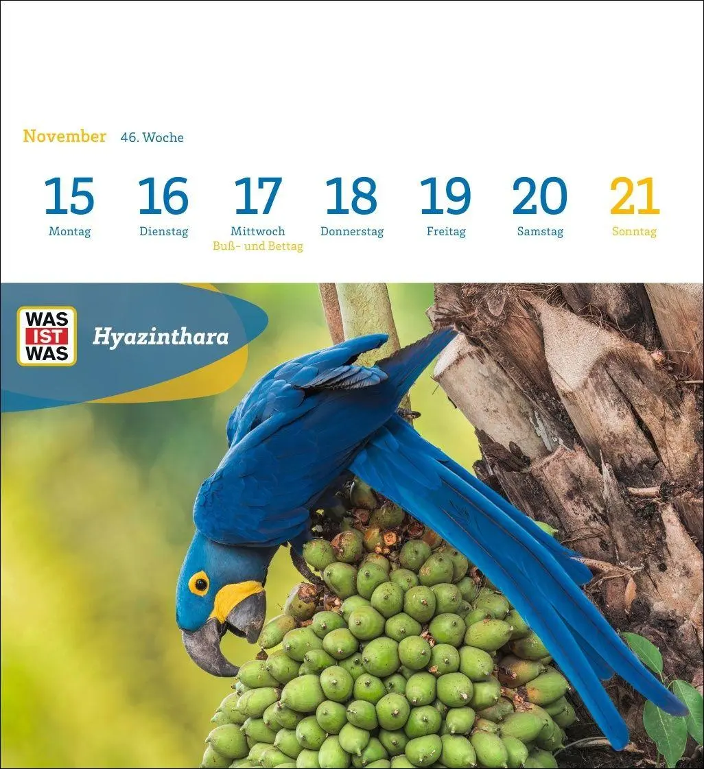 Bild: 9783840040047 | WAS IST WAS Geniale Tiere Postkartenkalender 2027 - Kalender mit 53...