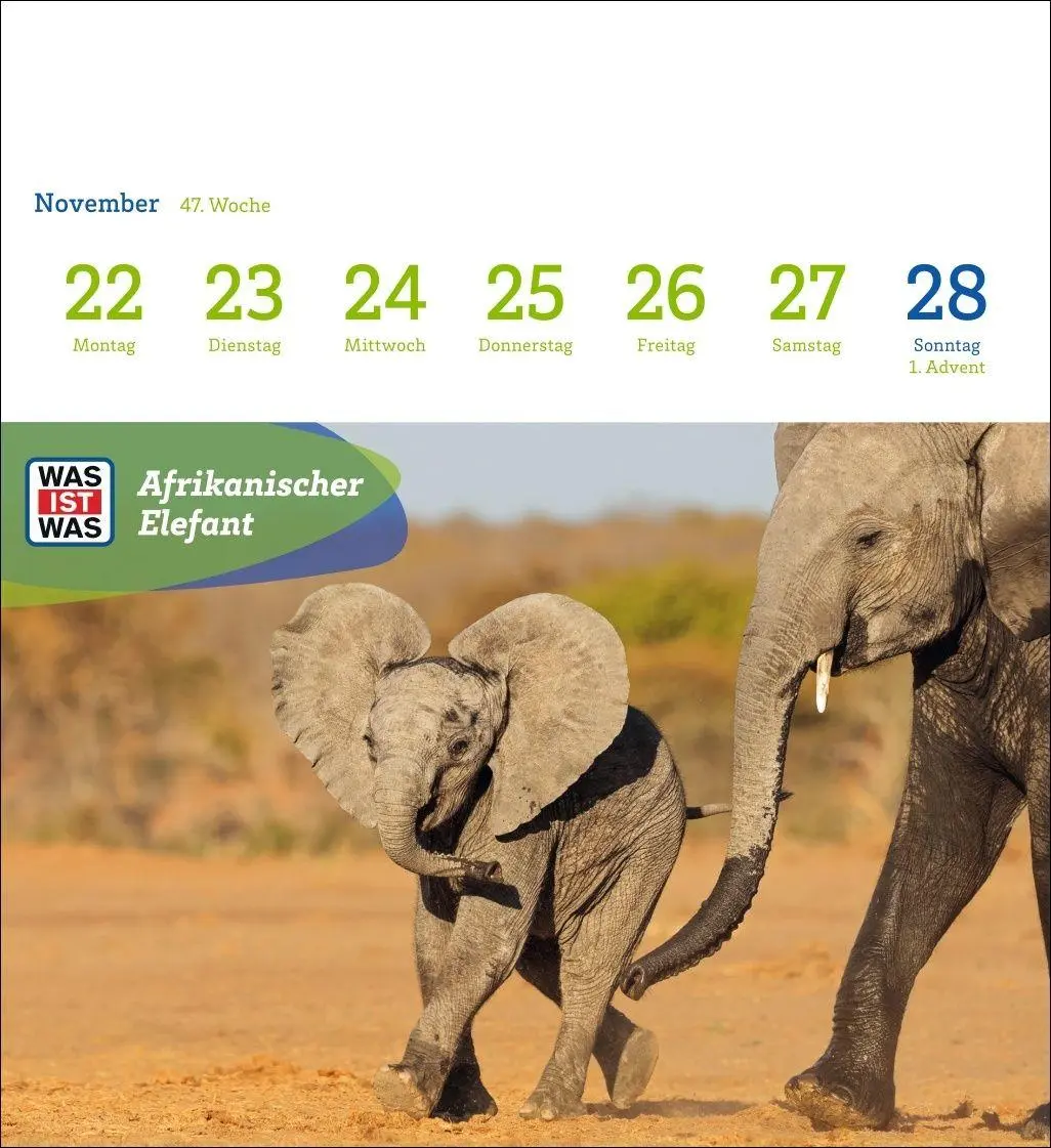 Bild: 9783840040047 | WAS IST WAS Geniale Tiere Postkartenkalender 2027 - Kalender mit 53...