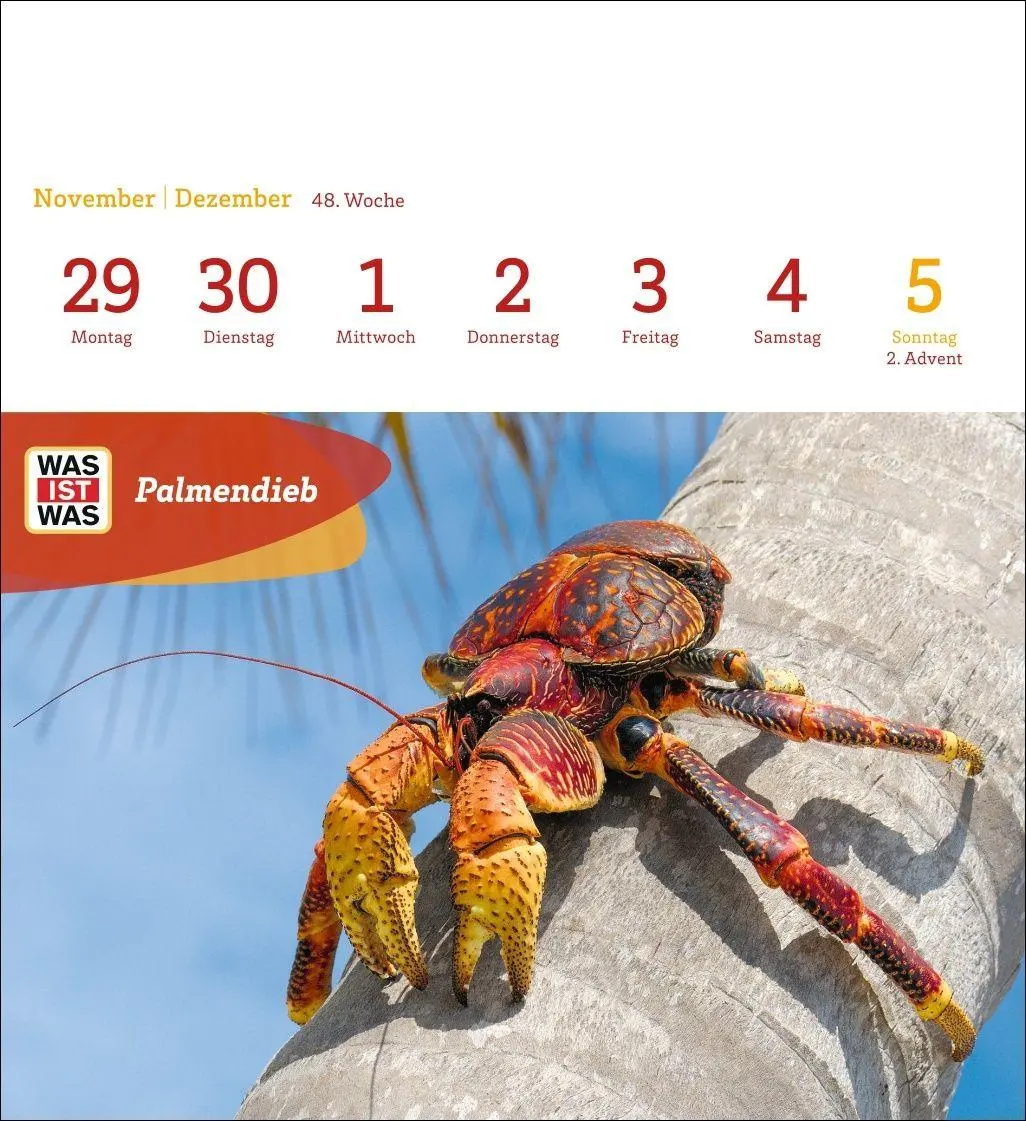 Bild: 9783840040047 | WAS IST WAS Geniale Tiere Postkartenkalender 2027 - Kalender mit 53...