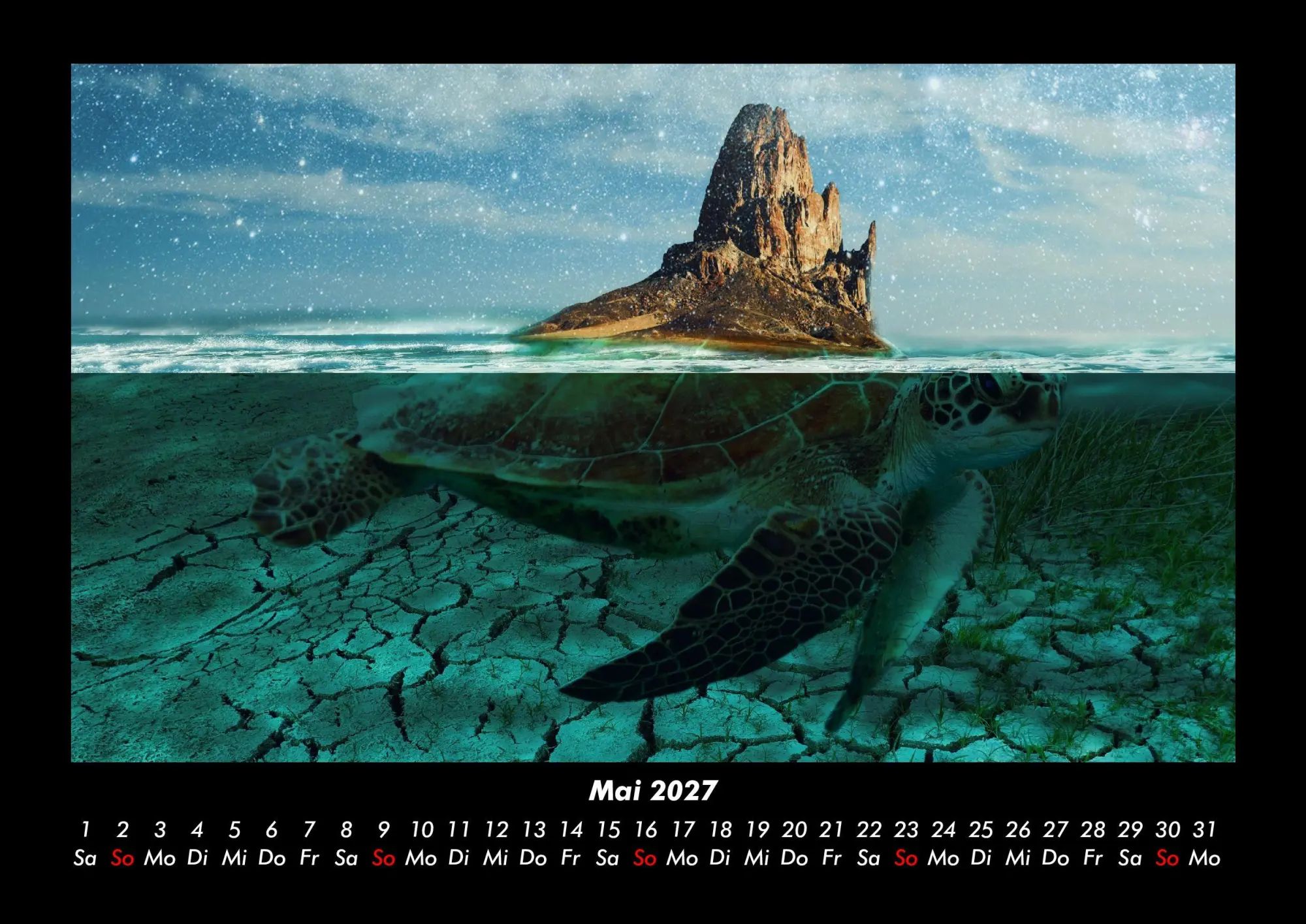 Bild: 9783695430147 | Schildkrötenzauber 2027 Fotokalender DIN A3 | Tobias Becker | Kalender