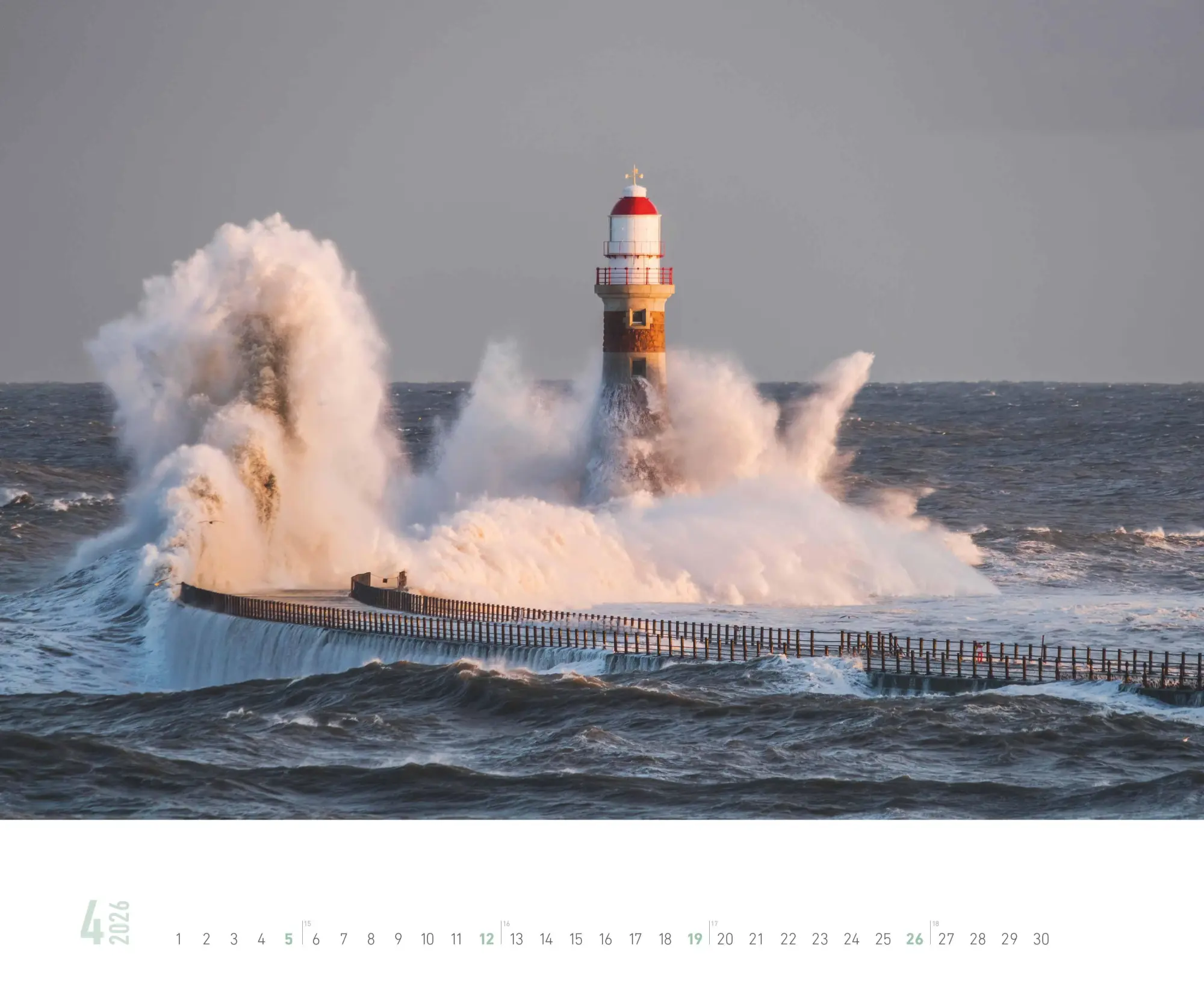 Bild: 4069095000247 | Meer 2026 | Kalender | 14 S. | Deutsch | 2026 | ALPHA EDITION GmbH