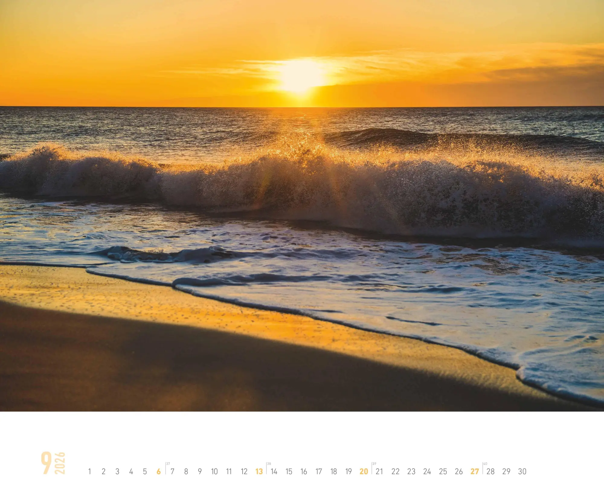 Bild: 4069095000247 | Meer 2026 | Kalender | 14 S. | Deutsch | 2026 | ALPHA EDITION GmbH