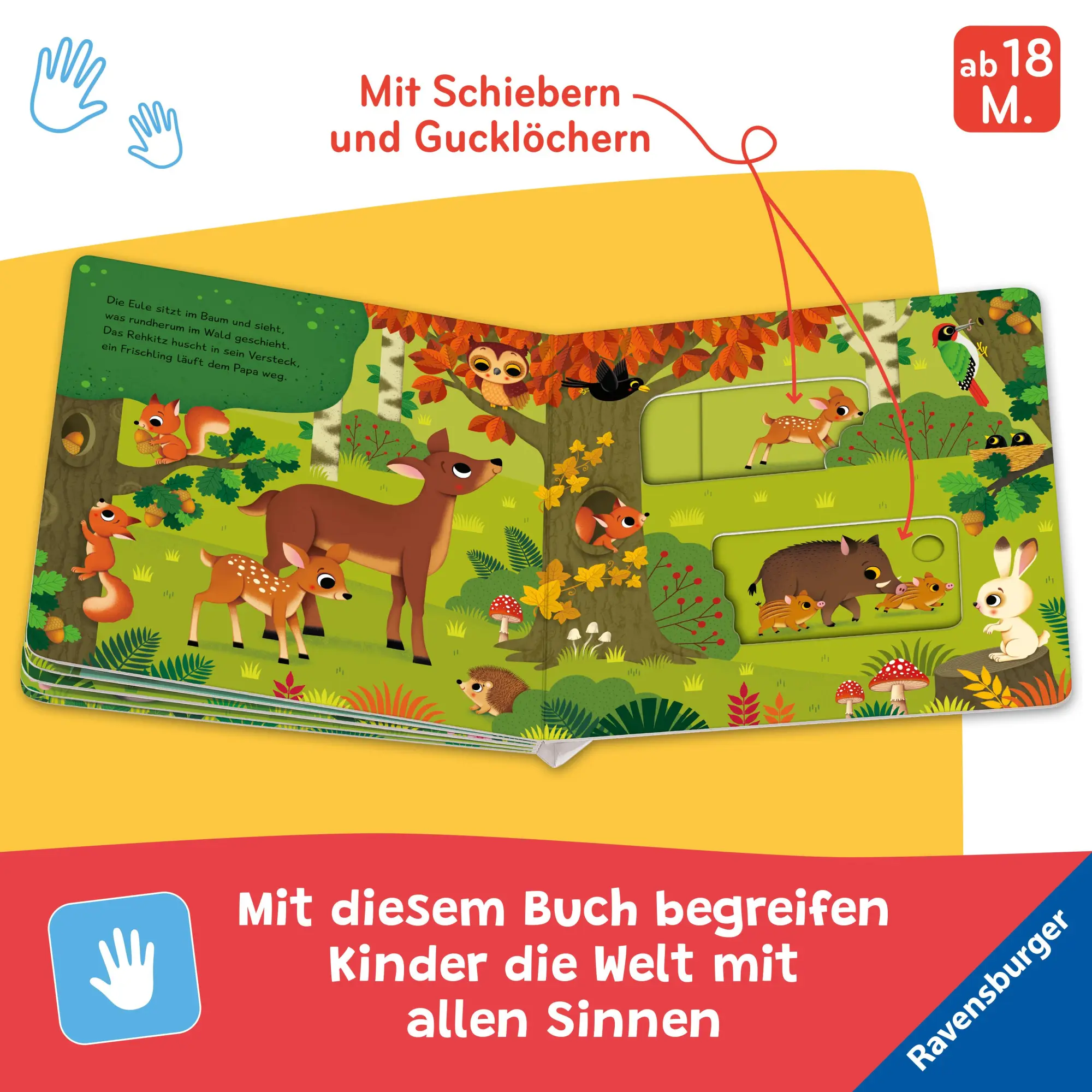 Bild: 9783473420247 | Mein Schiebe-Mitmachbuch - Lieblingstiere | Bernd Penners | Buch