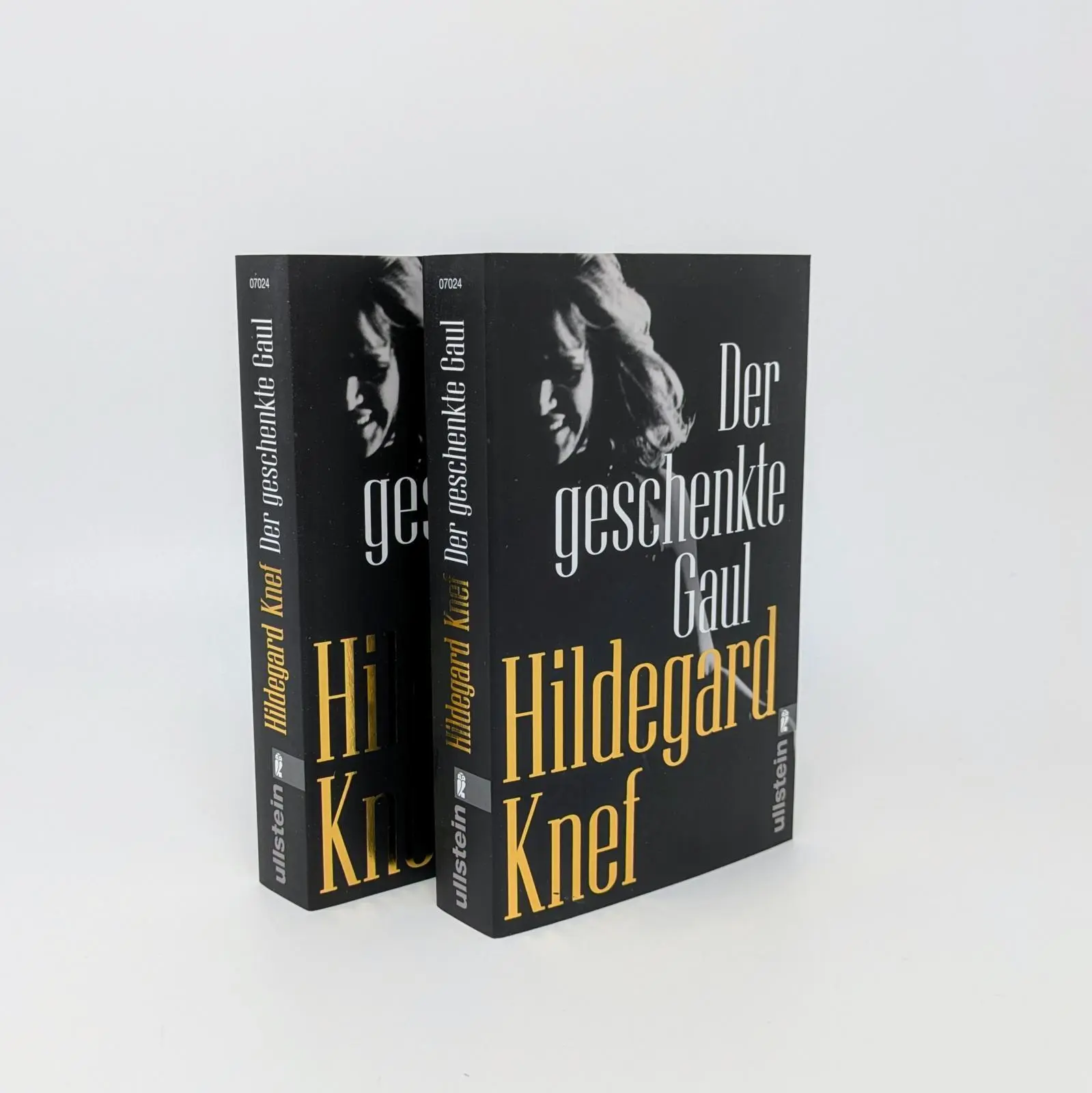 Bild: 9783548070247 | Der geschenkte Gaul | Hildegard Knef | Taschenbuch | 448 S. | Deutsch
