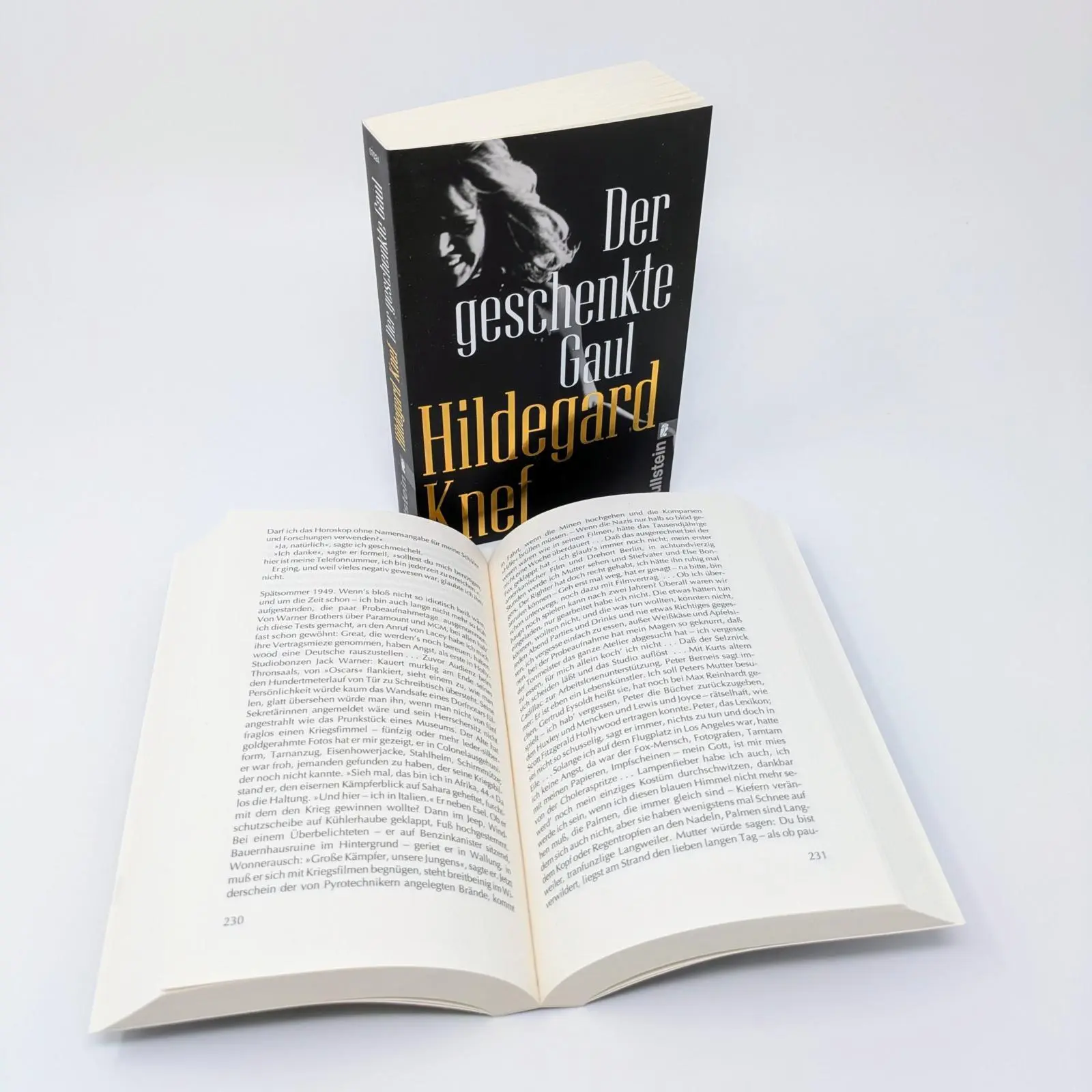 Bild: 9783548070247 | Der geschenkte Gaul | Hildegard Knef | Taschenbuch | 448 S. | Deutsch