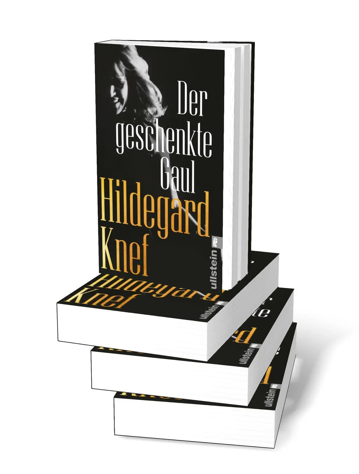 Bild: 9783548070247 | Der geschenkte Gaul | Hildegard Knef | Taschenbuch | 448 S. | Deutsch