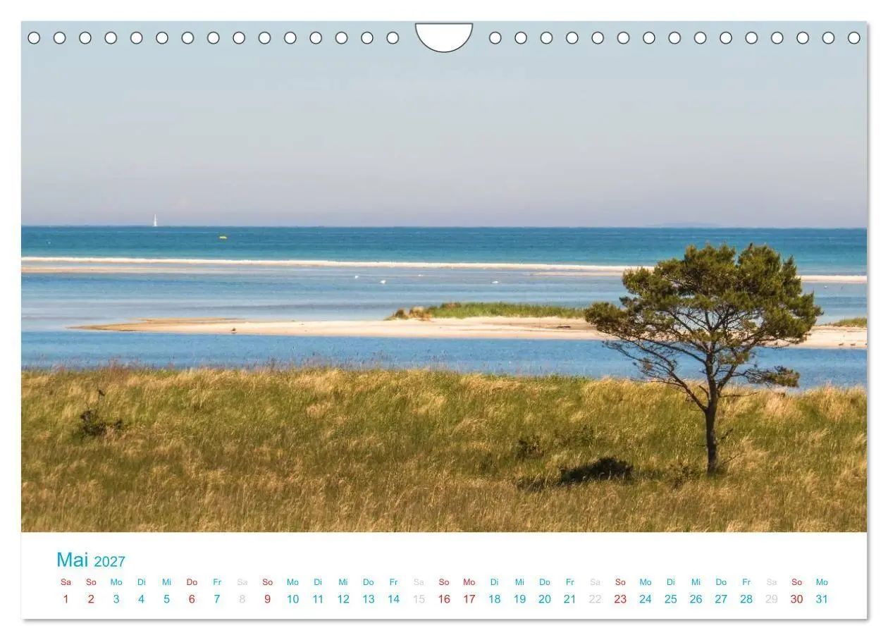 Bild: 9783594200247 | Der Darß Kalender (Wandkalender 2027 DIN A4 quer), CALVENDO...