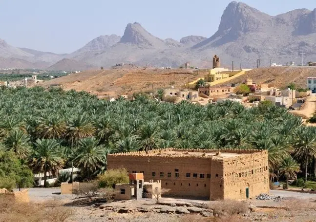 Bild: 9783660220247 | Zauber des Oman (Tischaufsteller DIN A5 quer) | Jürgen Wöhlke