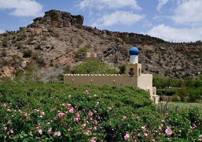 Bild: 9783660220247 | Zauber des Oman (Tischaufsteller DIN A5 quer) | Jürgen Wöhlke