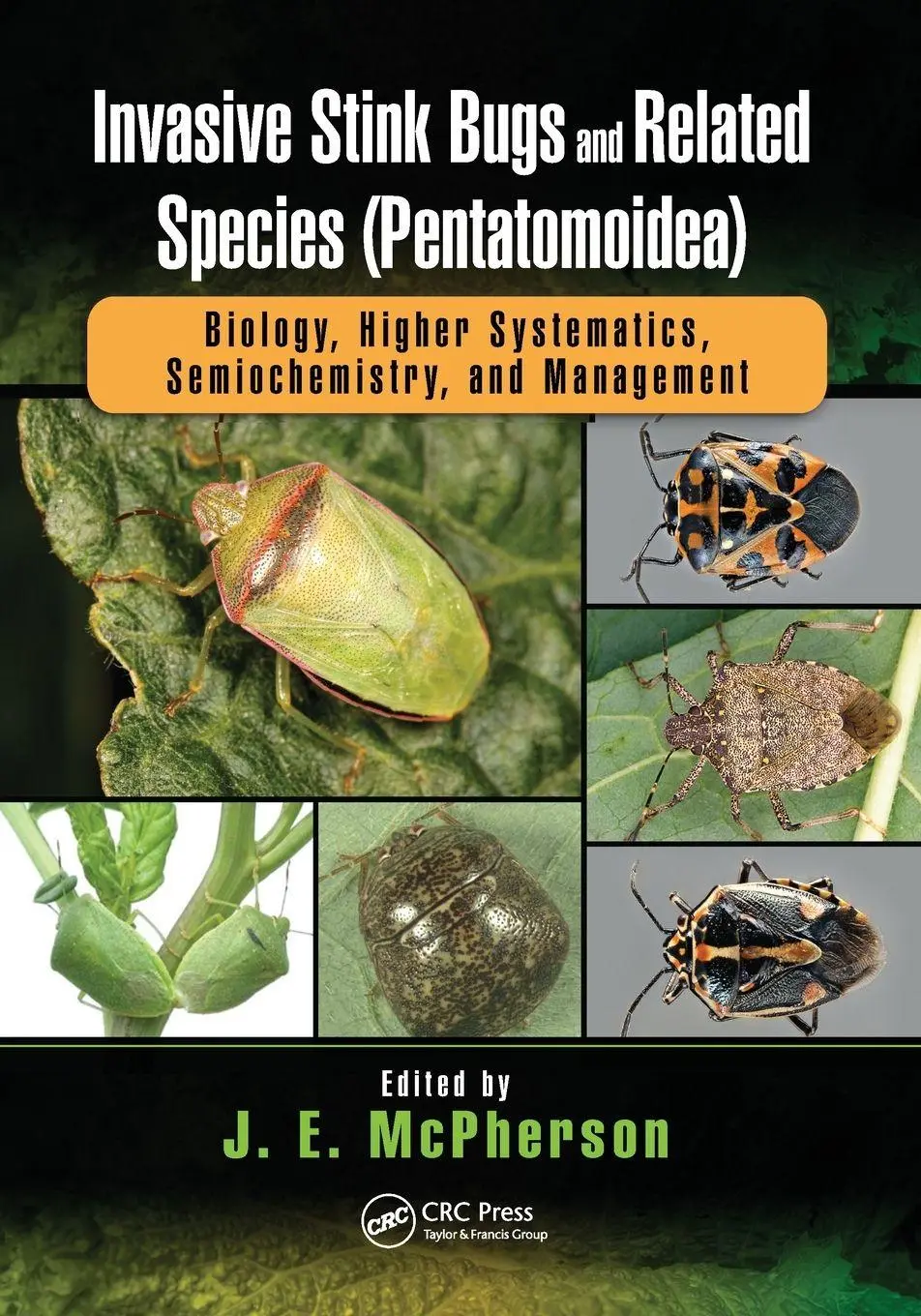 Cover: 9780367570347 | Invasive Stink Bugs and Related Species (Pentatomoidea) | McPherson