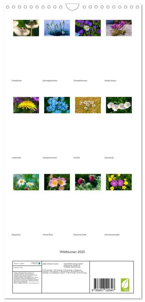 Bild: 9783457120347 | Familienplaner 2025 - Wildblumen 2025 mit 5 Spalten (Wandkalender,...