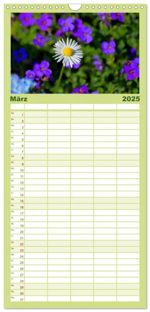 Bild: 9783457120347 | Familienplaner 2025 - Wildblumen 2025 mit 5 Spalten (Wandkalender,...