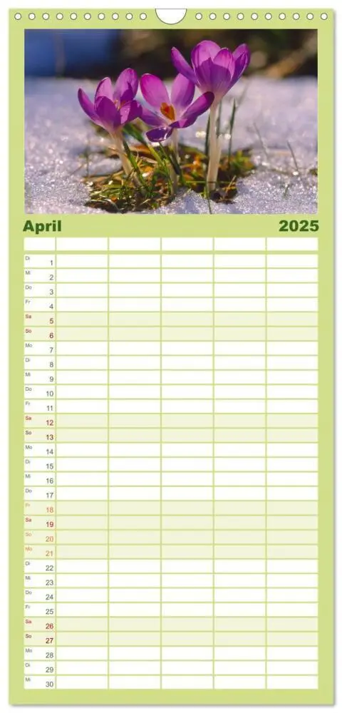 Bild: 9783457120347 | Familienplaner 2025 - Wildblumen 2025 mit 5 Spalten (Wandkalender,...
