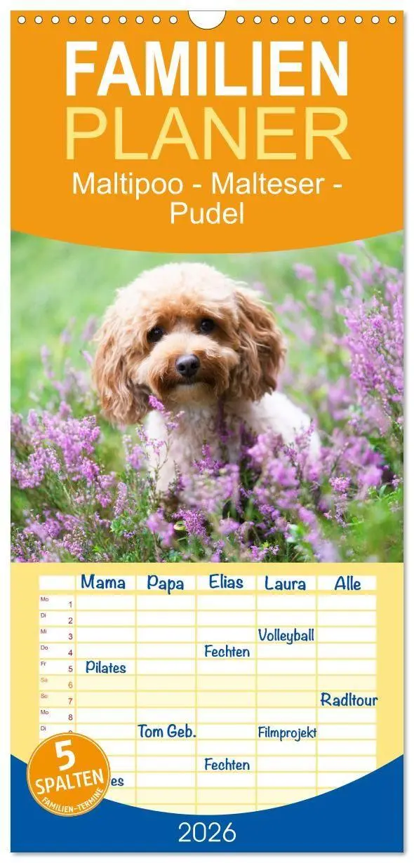 Cover: 9783516690347 | Familienplaner 2026 - Maltipoo - Malteser -Pudel mit 5 Spalten...