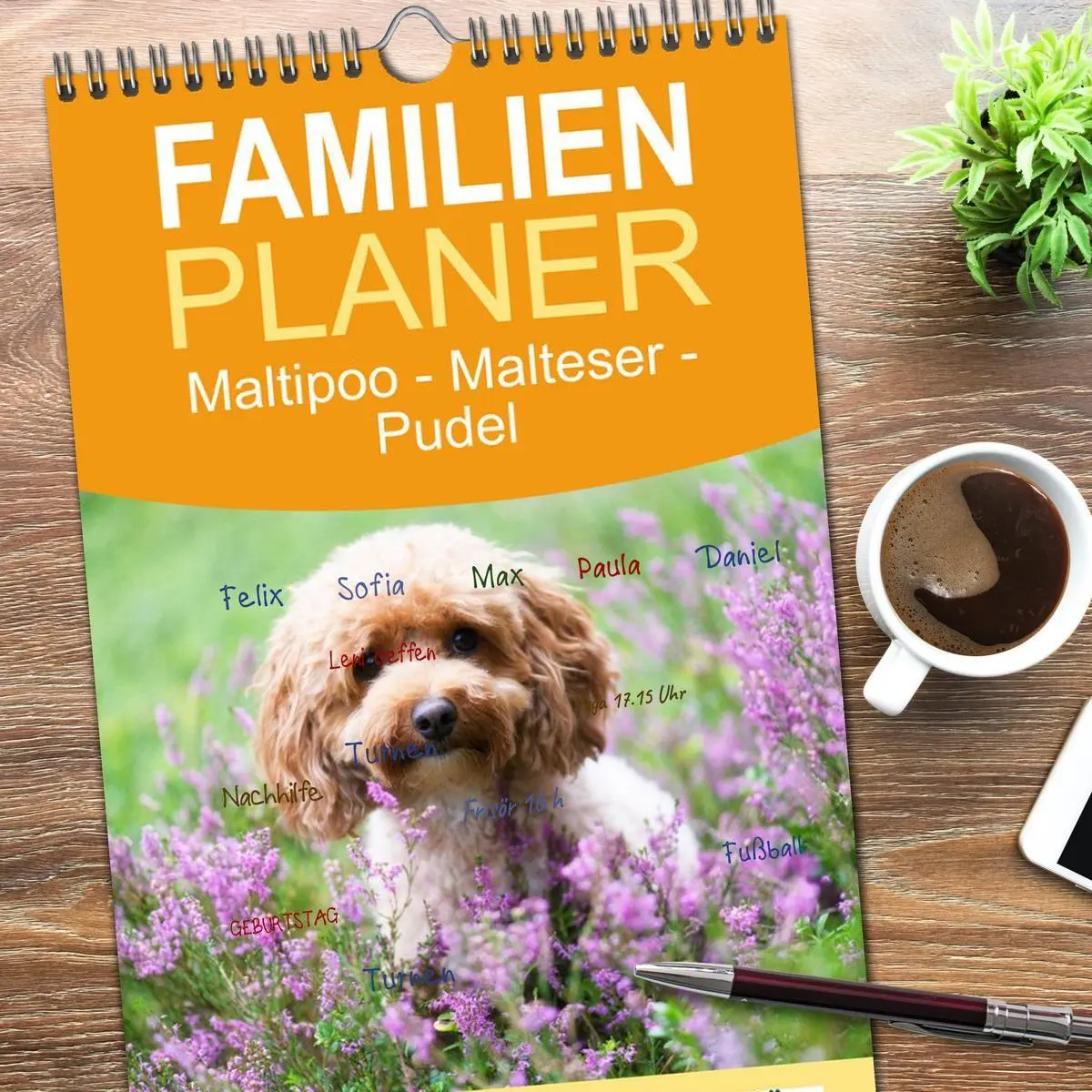 Bild: 9783516690347 | Familienplaner 2026 - Maltipoo - Malteser -Pudel mit 5 Spalten...