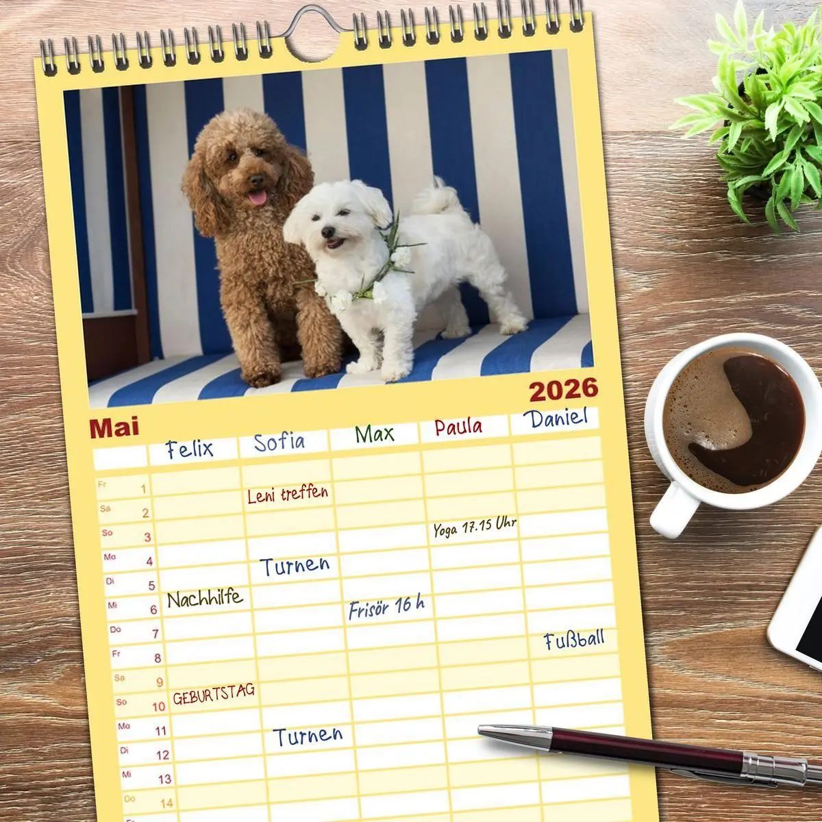 Bild: 9783516690347 | Familienplaner 2026 - Maltipoo - Malteser -Pudel mit 5 Spalten...
