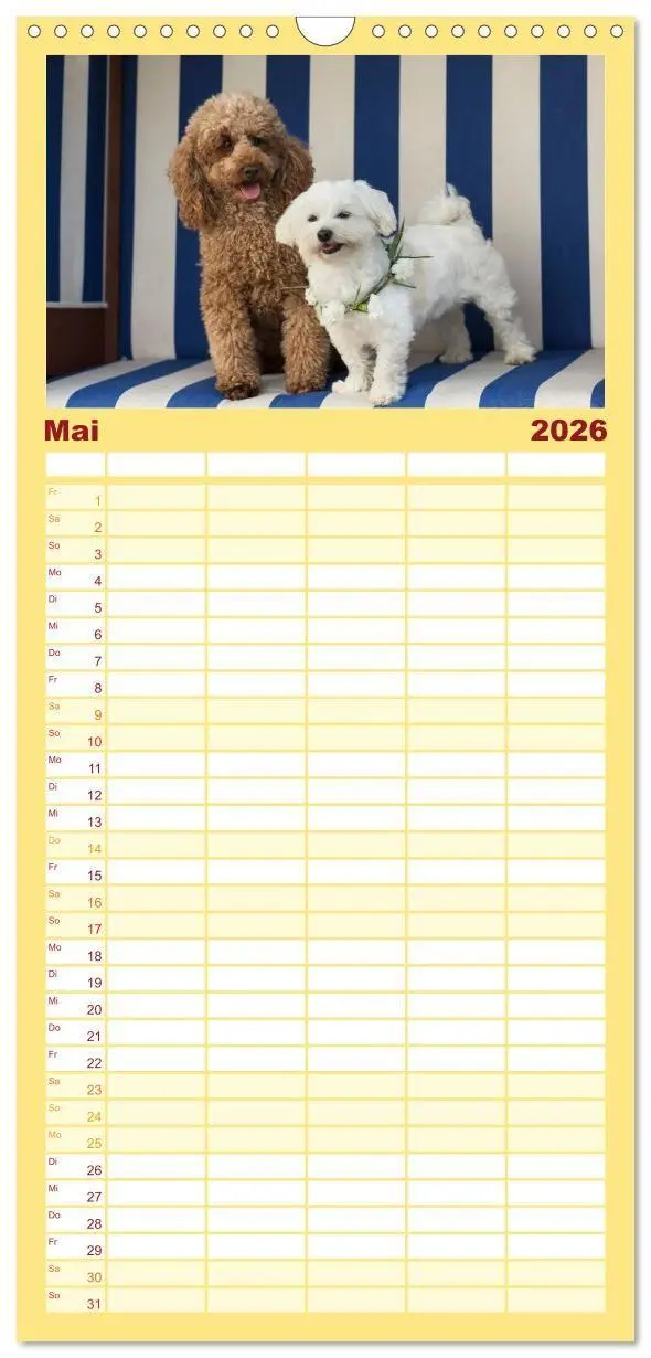 Bild: 9783516690347 | Familienplaner 2026 - Maltipoo - Malteser -Pudel mit 5 Spalten...