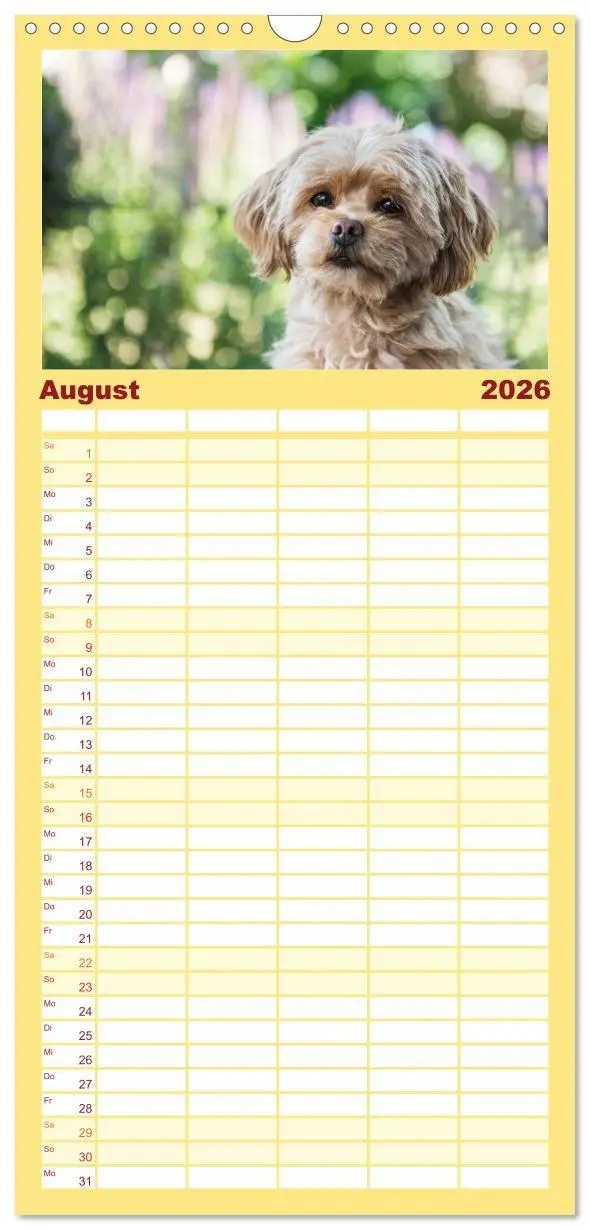 Bild: 9783516690347 | Familienplaner 2026 - Maltipoo - Malteser -Pudel mit 5 Spalten...