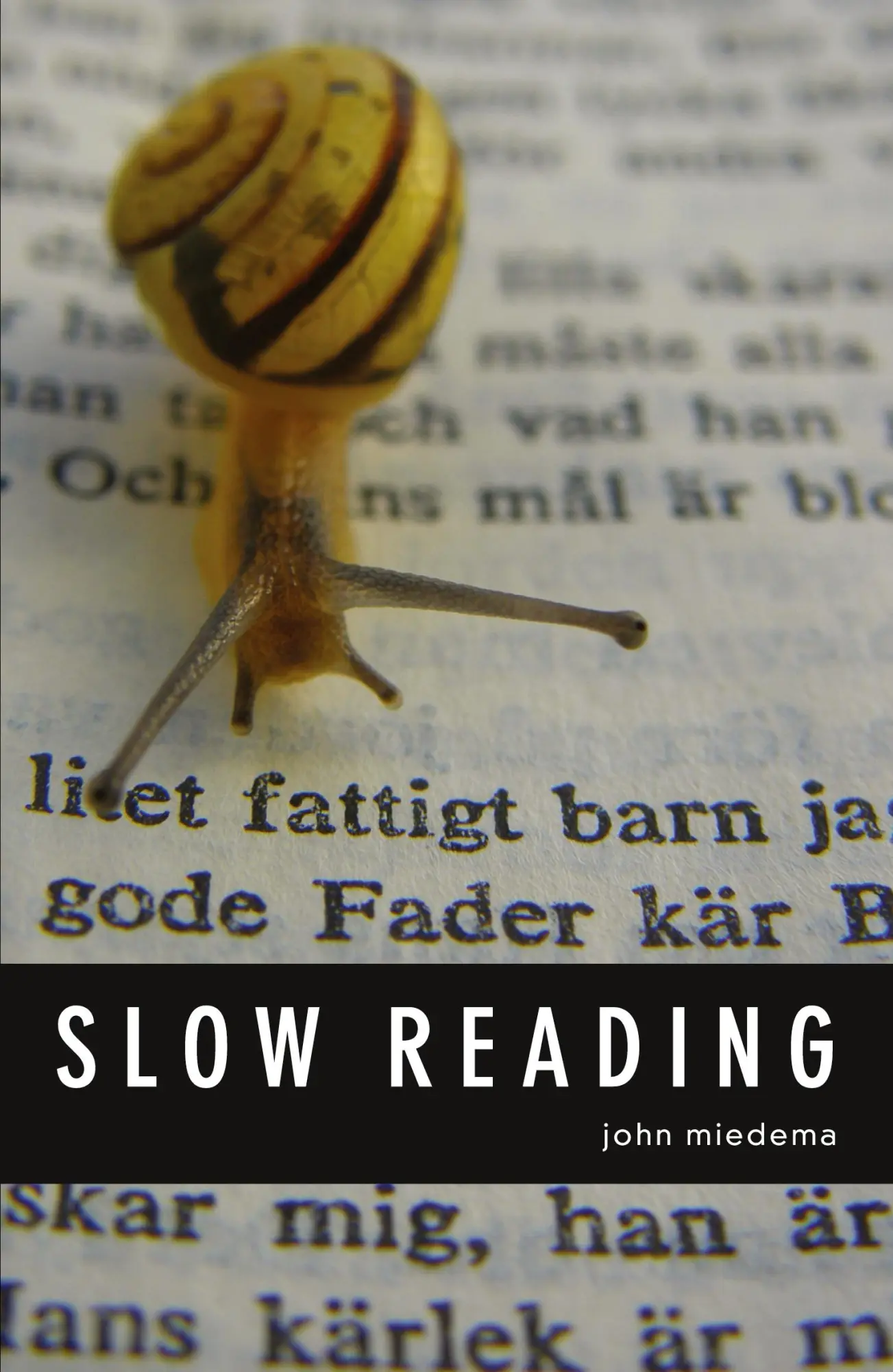 Cover: 9780980200447 | Slow Reading | John Miedema | Taschenbuch | Kartoniert / Broschiert