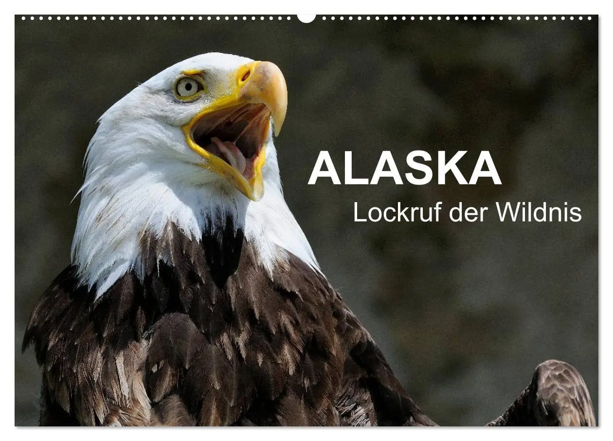 Cover: 9783516060447 | Alaska - Lockruf der Wildnis (Wandkalender 2026 DIN A2 quer),...