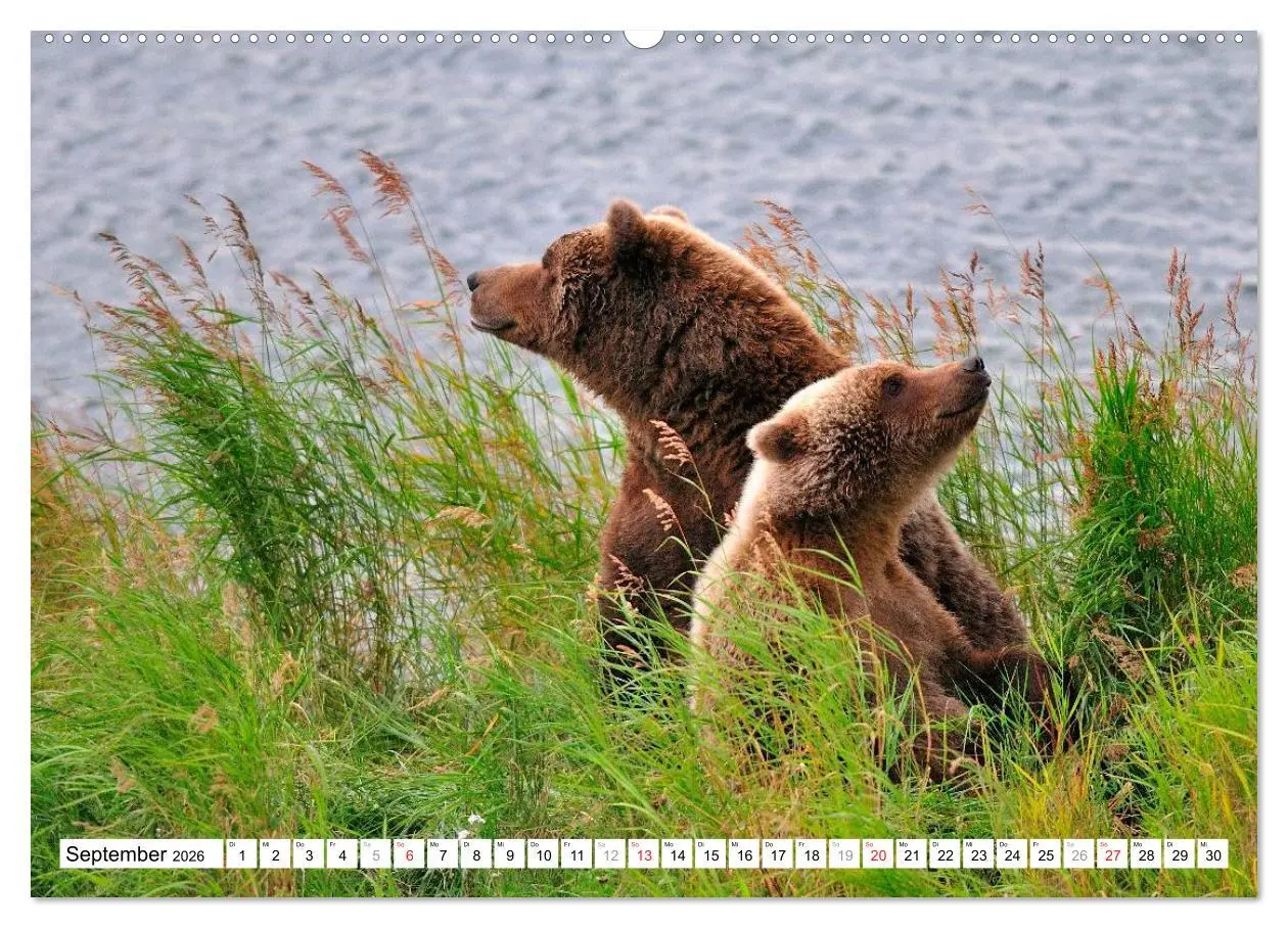 Bild: 9783516060447 | Alaska - Lockruf der Wildnis (Wandkalender 2026 DIN A2 quer),...