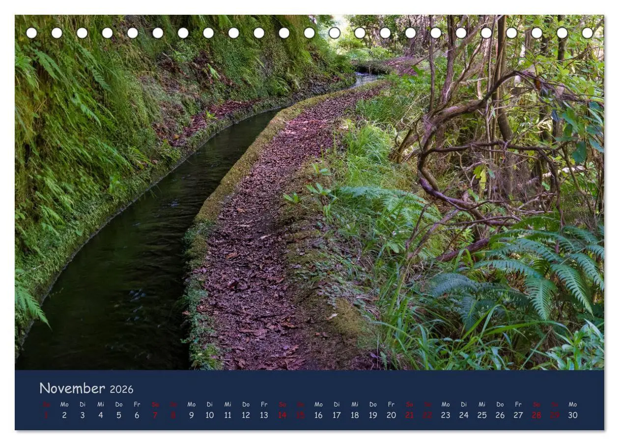 Bild: 9783457890547 | Naturwunder Madeira (Tischkalender 2026 DIN A5 quer), CALVENDO...
