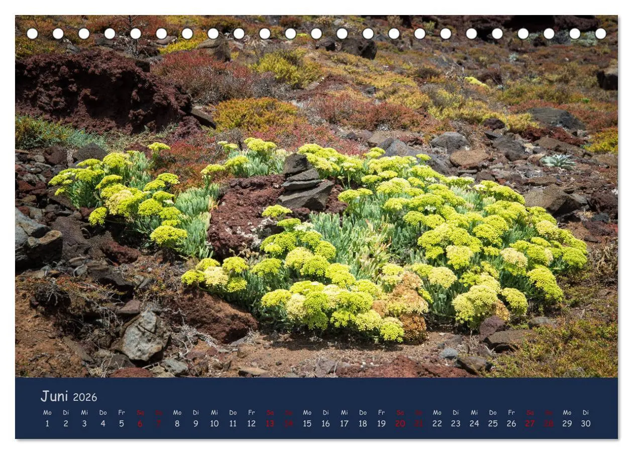 Bild: 9783457890547 | Naturwunder Madeira (Tischkalender 2026 DIN A5 quer), CALVENDO...