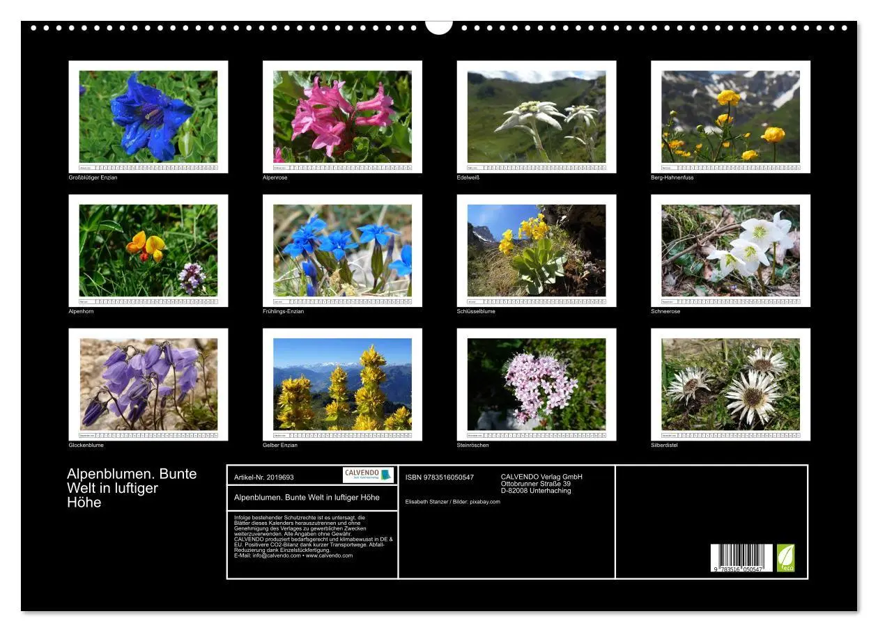Bild: 9783516050547 | Alpenblumen. Bunte Welt in luftiger Höhe (Wandkalender 2026 DIN A2...