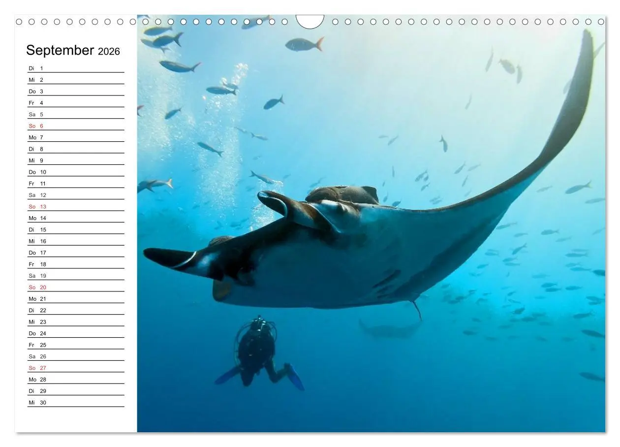 Bild: 9783516120547 | Tauchen - Abenteuer in Neptuns Wunderwelt (Wandkalender 2026 DIN A3...