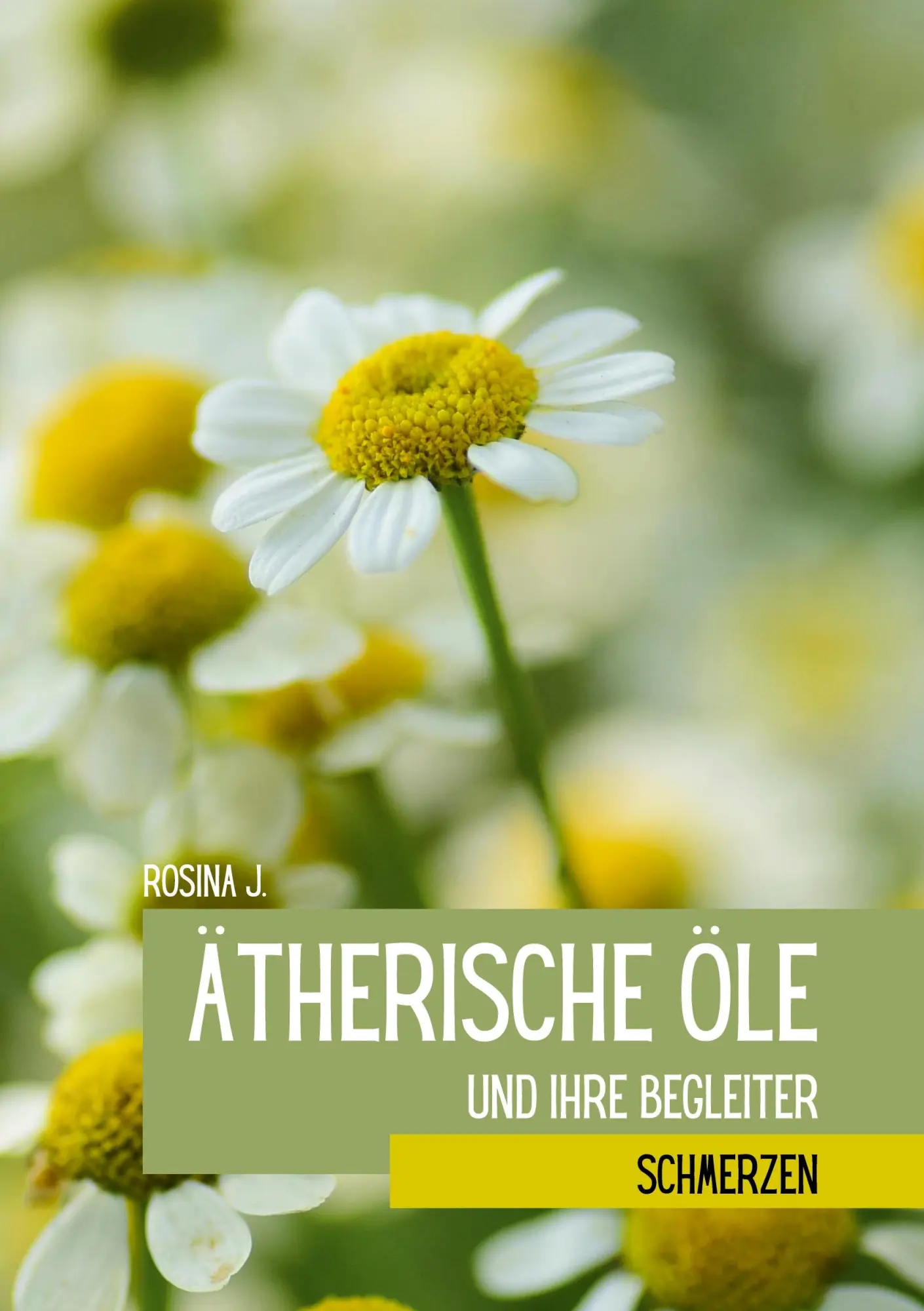 Cover: 9783695700547 | Ätherische Öle und ihre Begleiter bei Schmerzen | Rosina J. | Buch