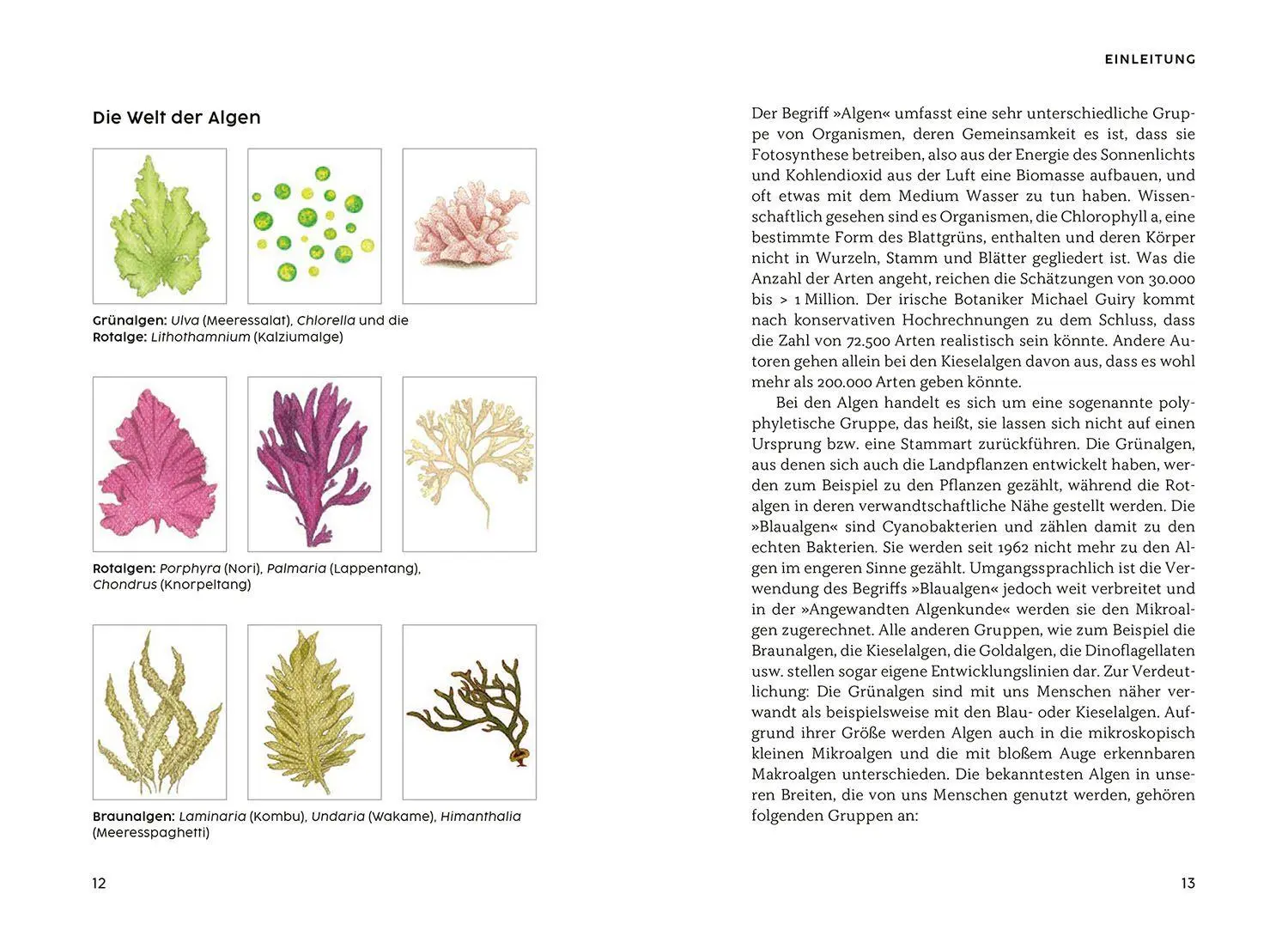 Bild: 9783968590547 | Gesund mit Algen | Jörg Ullmann (u. a.) | Taschenbuch | 120 S. | 2024
