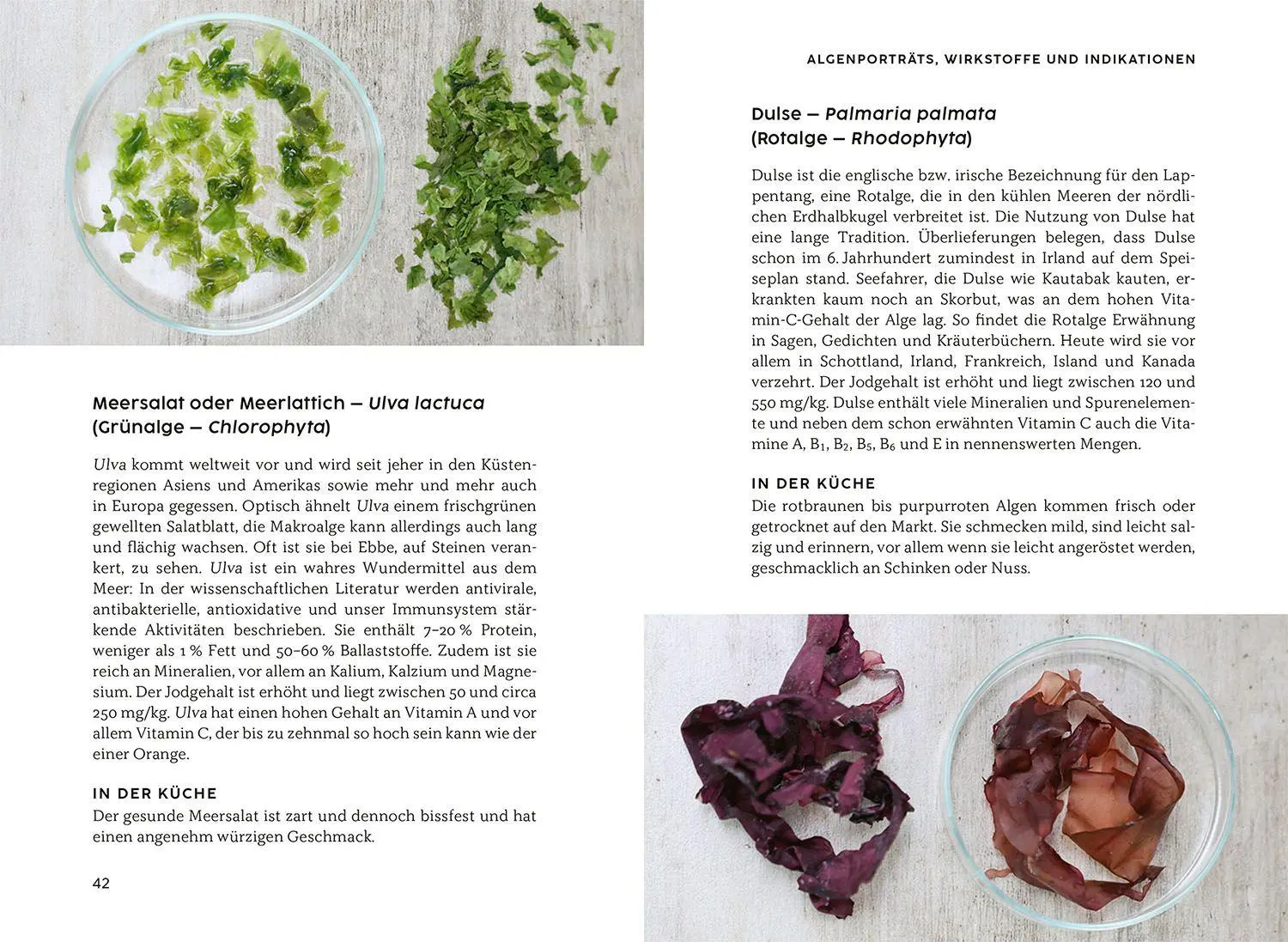 Bild: 9783968590547 | Gesund mit Algen | Jörg Ullmann (u. a.) | Taschenbuch | 120 S. | 2024