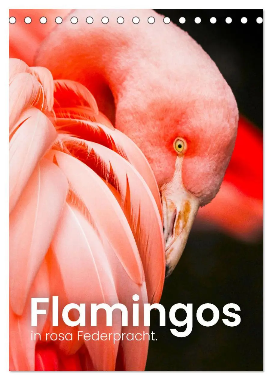 Cover: 9783516350647 | Flamingos in rosa Federpracht. (Tischkalender 2026 DIN A5 hoch),...