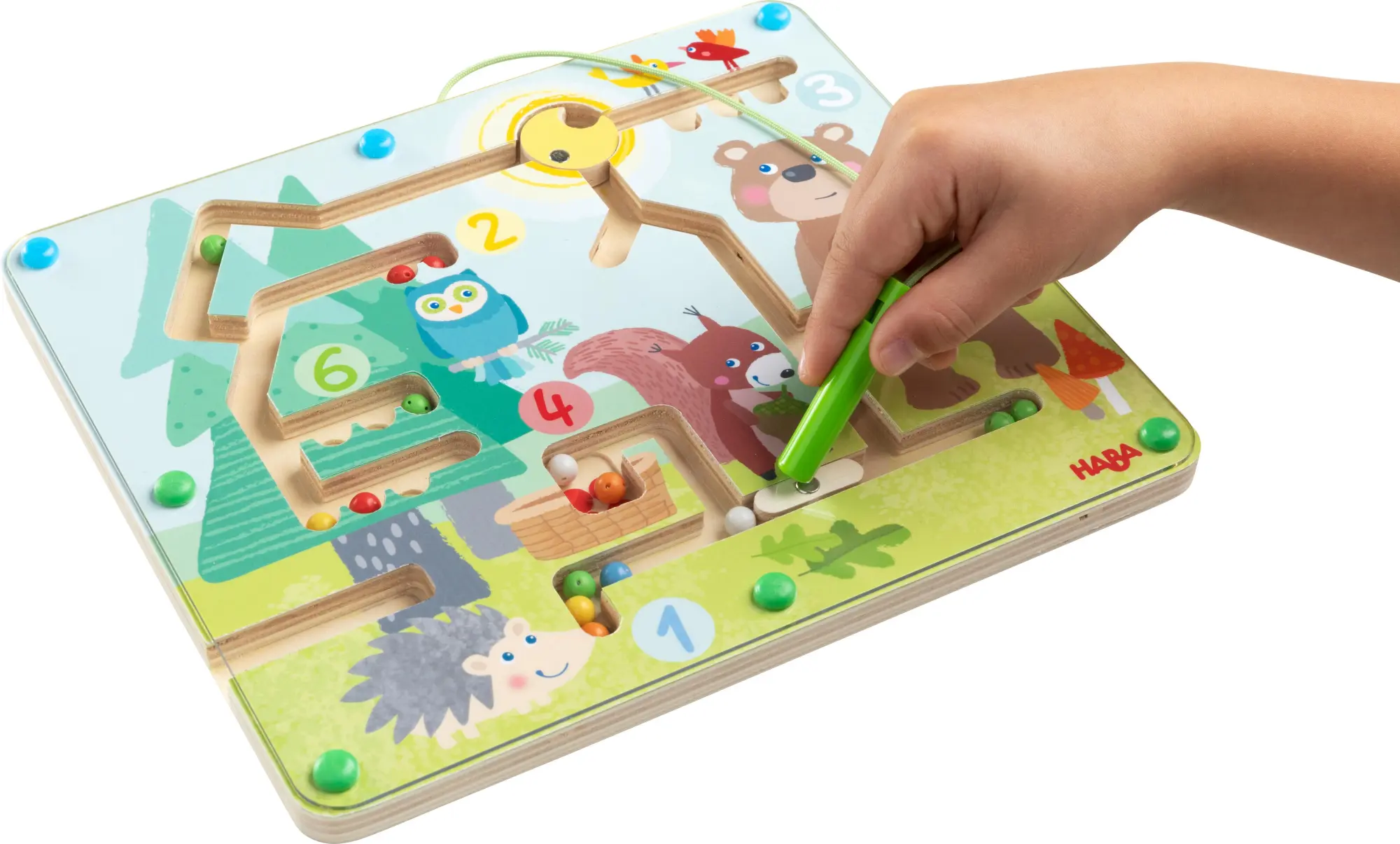 Bild: 4010168260747 | Magnetspiel Waldfreunde | Spiel | Brettspiel | 1306624001 | Deutsch