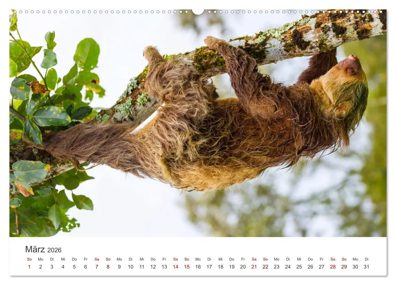 Bild: 9783457560747 | Nicaragua - Impressionen von Land und Tierwelt. (Wandkalender 2026...
