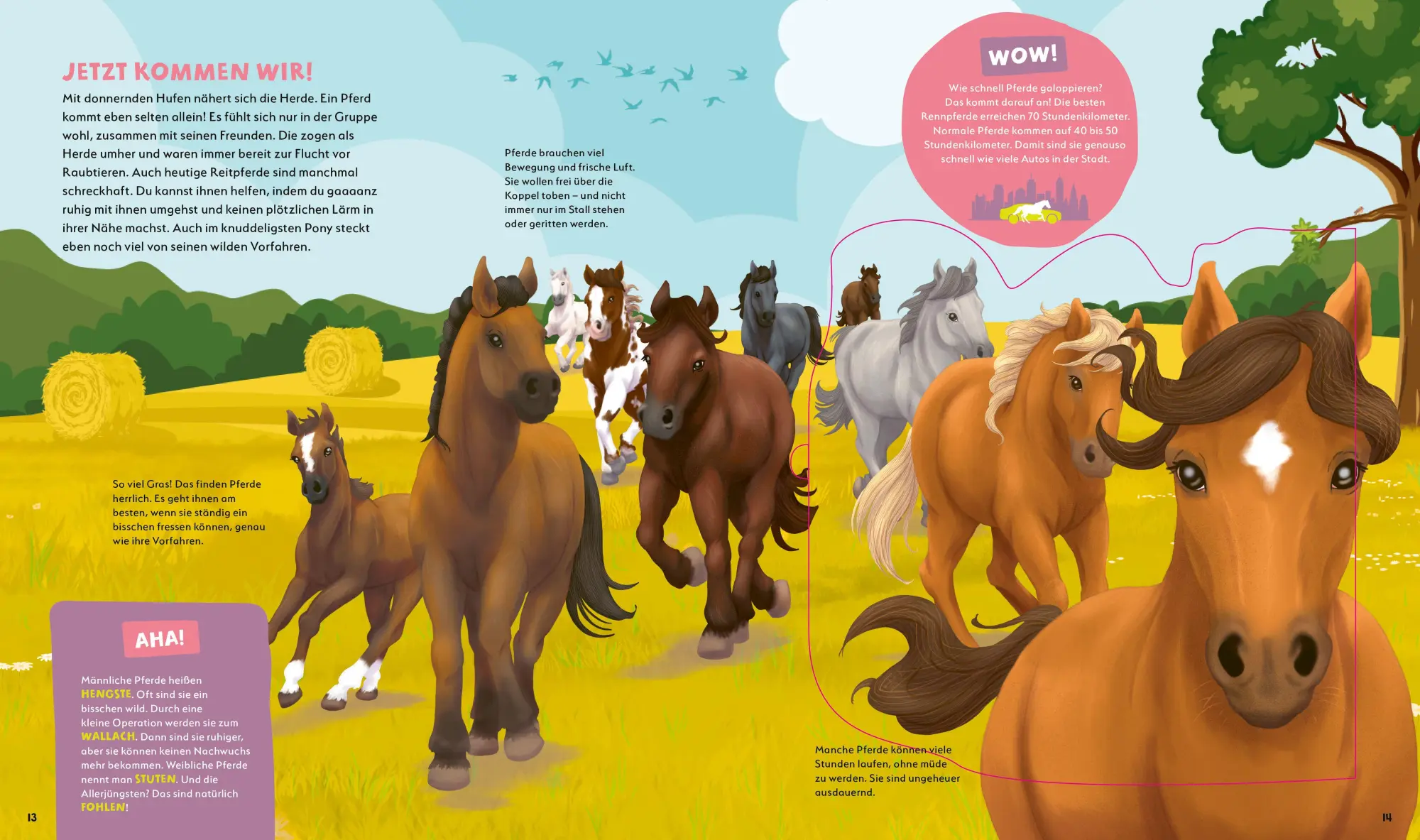 Bild: 9783788680947 | WAS IST WAS Kids Pferde und Ponys. Wild, stark und einfach toll!