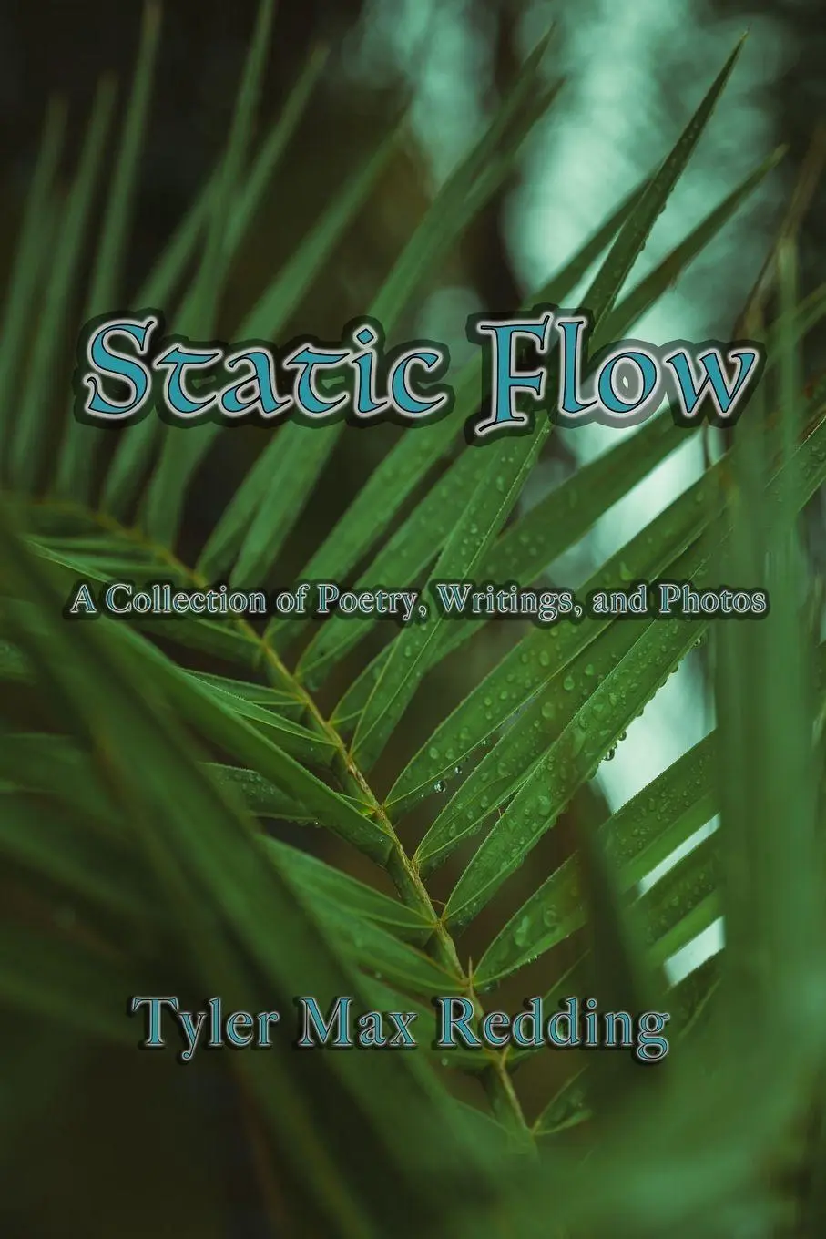 Cover: 9798989450947 | Static Flow | Tyler Max Redding | Taschenbuch | Englisch | 2024
