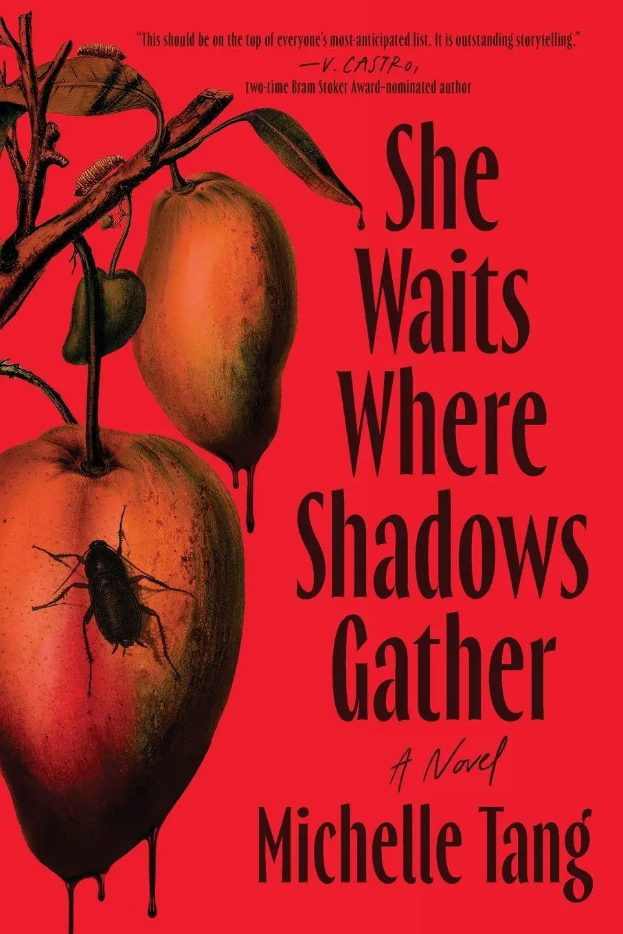 Cover: 9781464251047 | She Waits Where Shadows Gather | A Novel | Michelle Tang | Taschenbuch