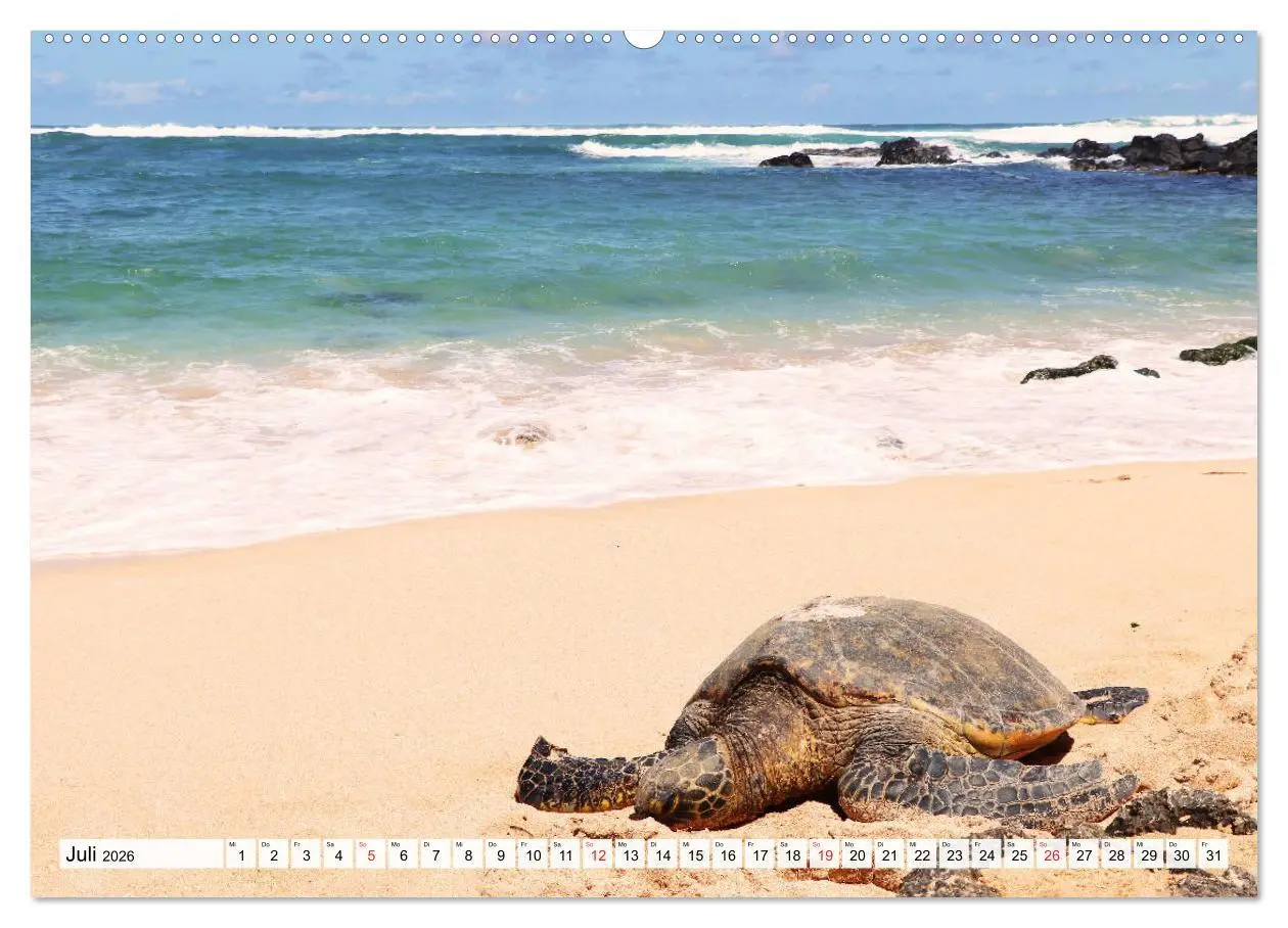 Bild: 9783457671047 | Hawaii the Aloha State (hochwertiger Premium Wandkalender 2026 DIN...