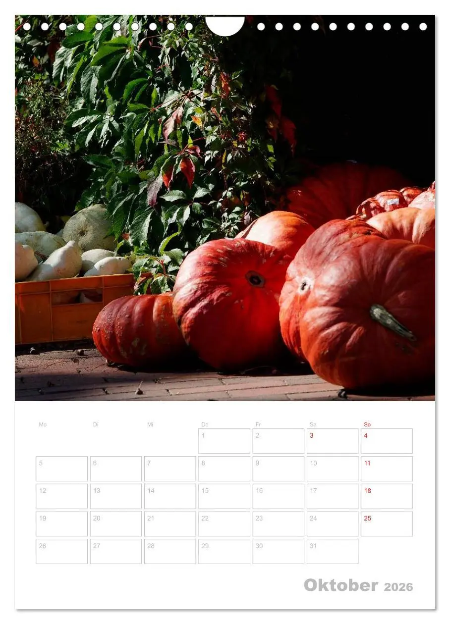 Bild: 9783516451047 | In der Küche Terminplaner (Wandkalender 2026 DIN A4 hoch), CALVENDO...