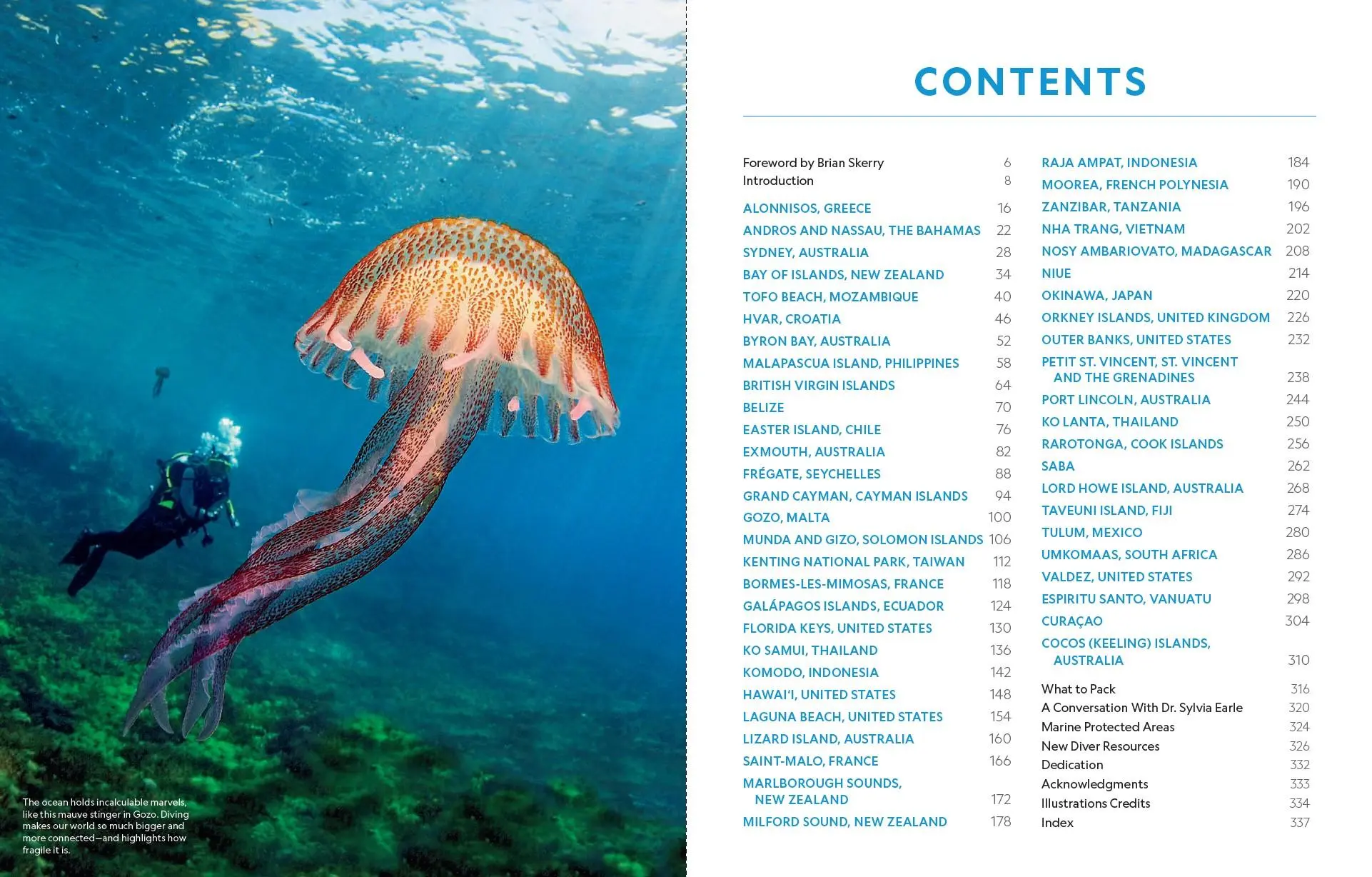 Bild: 9783987011047 | Der ultimative World Diver's Guide | Carrie Miller (u. a.) | Buch