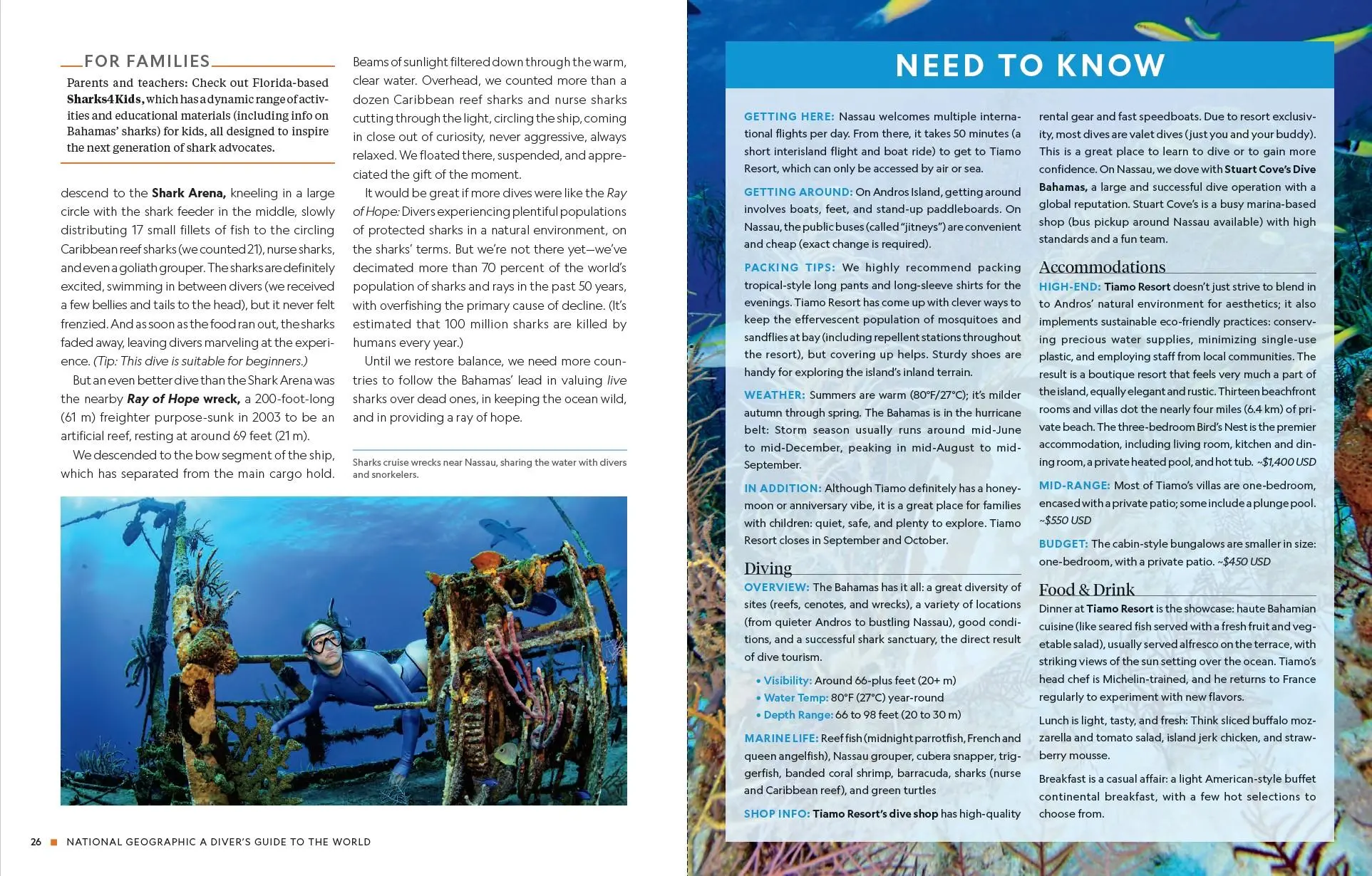 Bild: 9783987011047 | Der ultimative World Diver's Guide | Carrie Miller (u. a.) | Buch