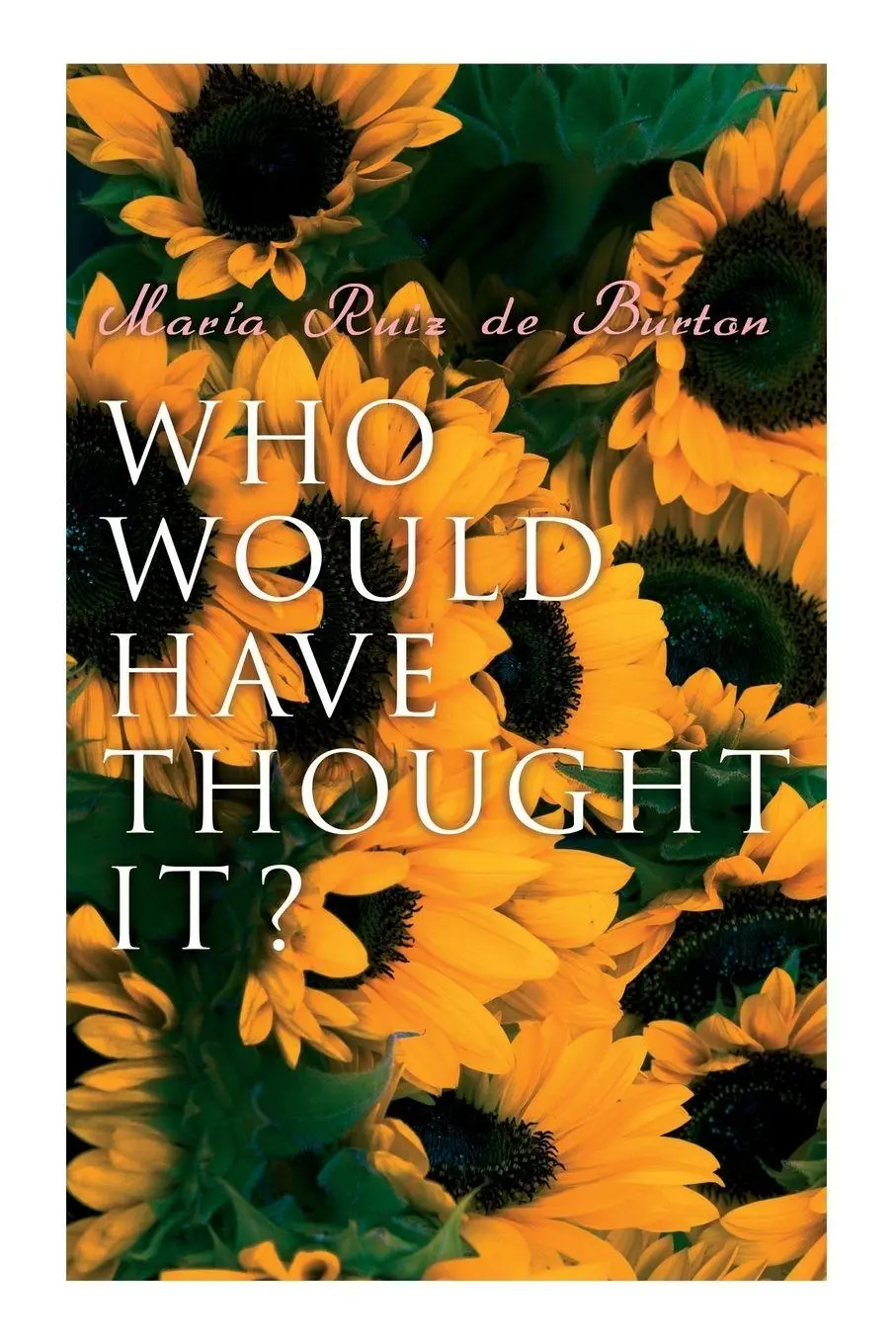 Cover: 9788027341047 | Who Would Have Thought It? | María Ruiz de Burton | Taschenbuch | 2021