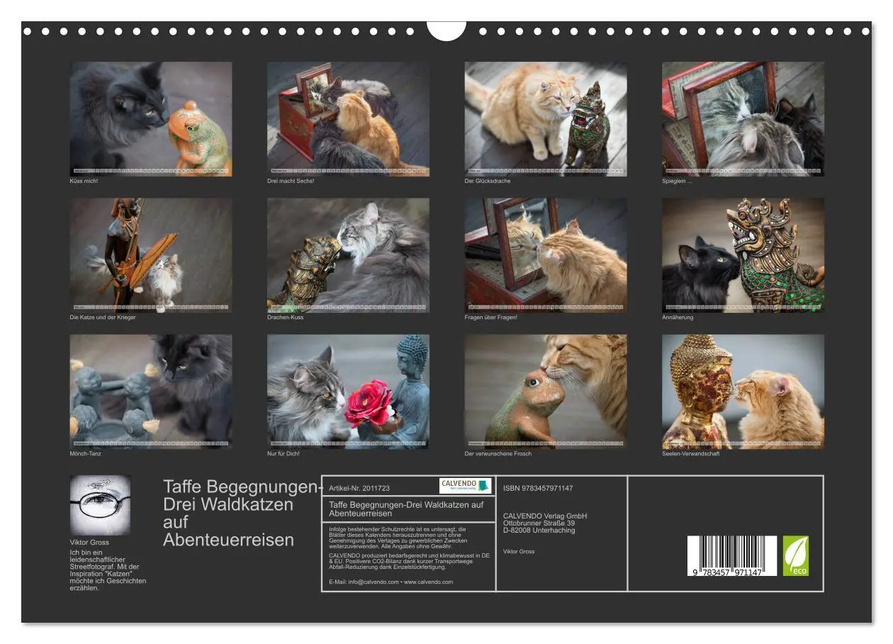 Bild: 9783457971147 | Taffe Begegnungen-Drei Waldkatzen auf Abenteuerreisen (Wandkalender...