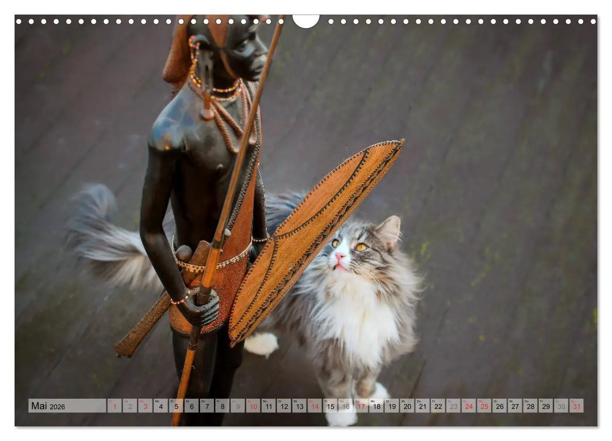 Bild: 9783457971147 | Taffe Begegnungen-Drei Waldkatzen auf Abenteuerreisen (Wandkalender...