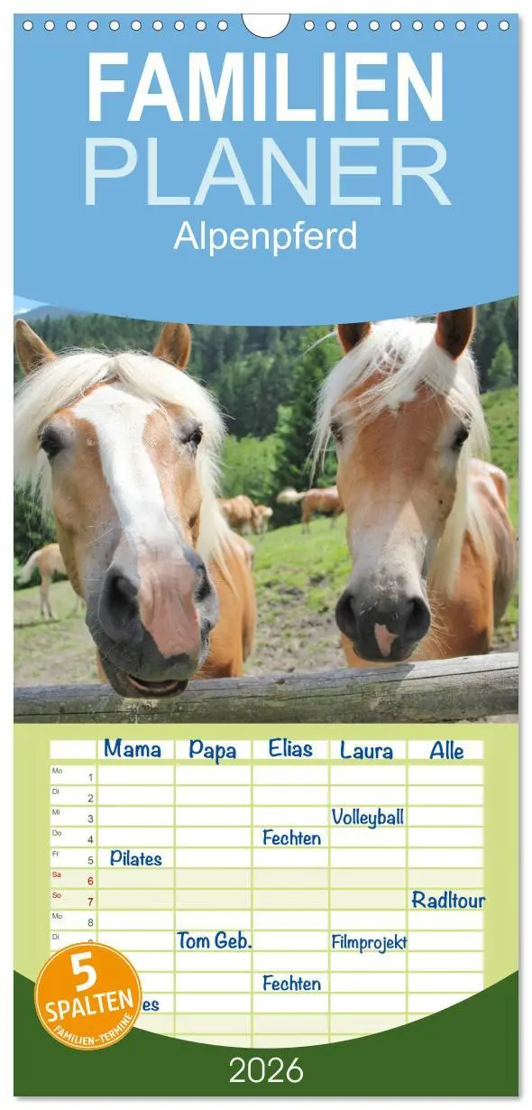 Cover: 9783516511147 | Familienplaner 2026 - Alpenpferde mit 5 Spalten (Wandkalender, 21 x...