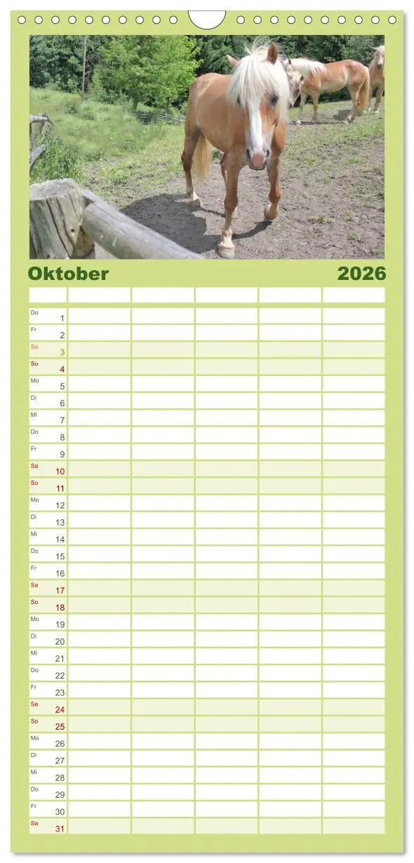 Bild: 9783516511147 | Familienplaner 2026 - Alpenpferde mit 5 Spalten (Wandkalender, 21 x...
