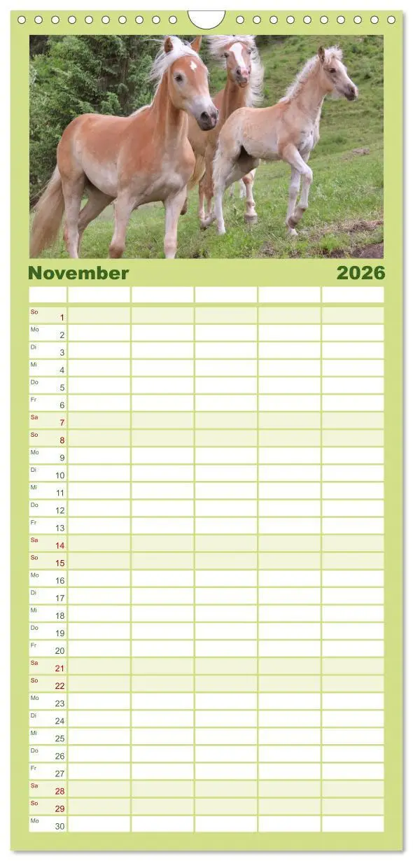 Bild: 9783516511147 | Familienplaner 2026 - Alpenpferde mit 5 Spalten (Wandkalender, 21 x...