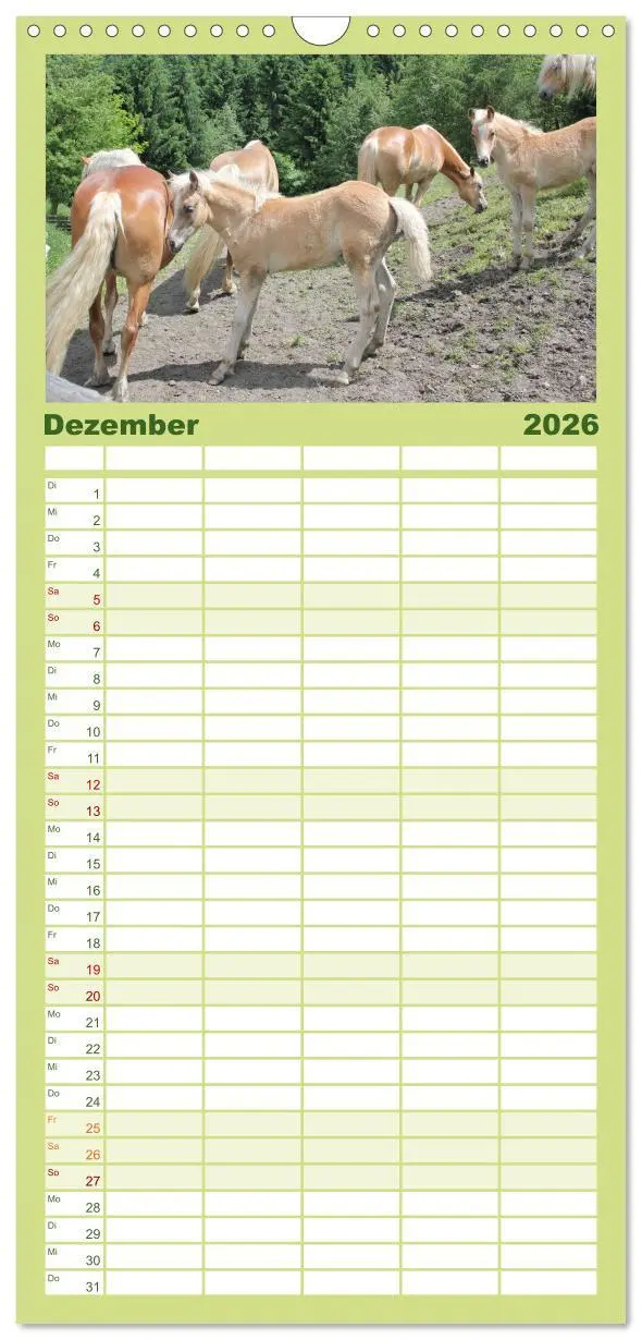 Bild: 9783516511147 | Familienplaner 2026 - Alpenpferde mit 5 Spalten (Wandkalender, 21 x...