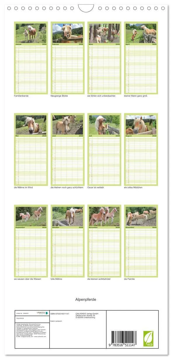 Bild: 9783516511147 | Familienplaner 2026 - Alpenpferde mit 5 Spalten (Wandkalender, 21 x...
